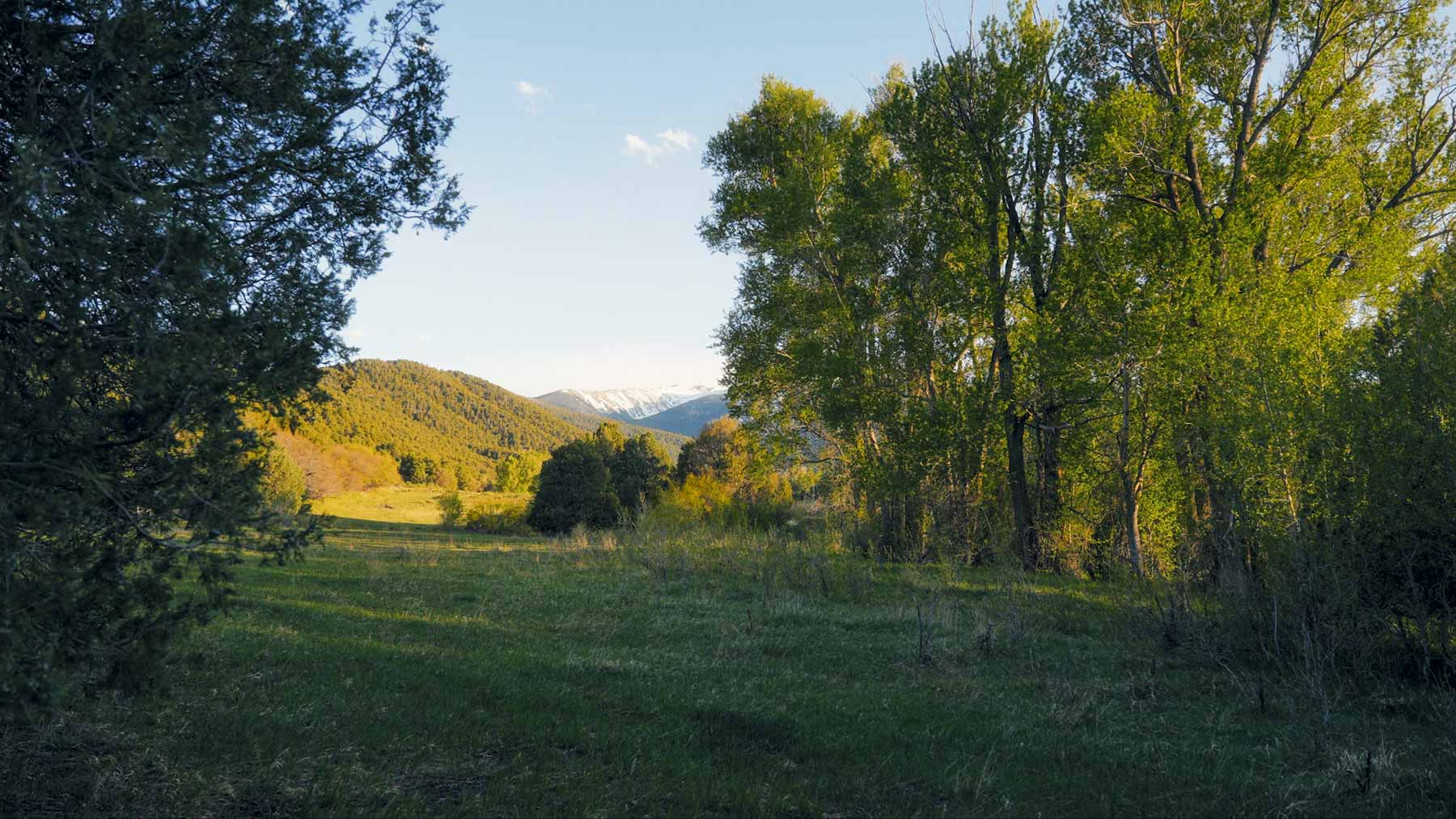 Bear Creek Valley Ranch property picture 13 of 45