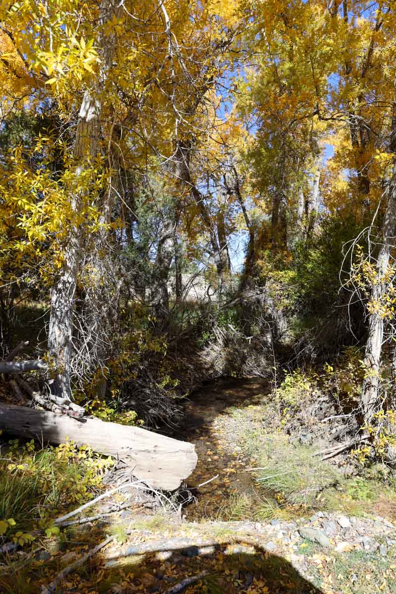 Bear Creek Valley Ranch property picture 40 of 45