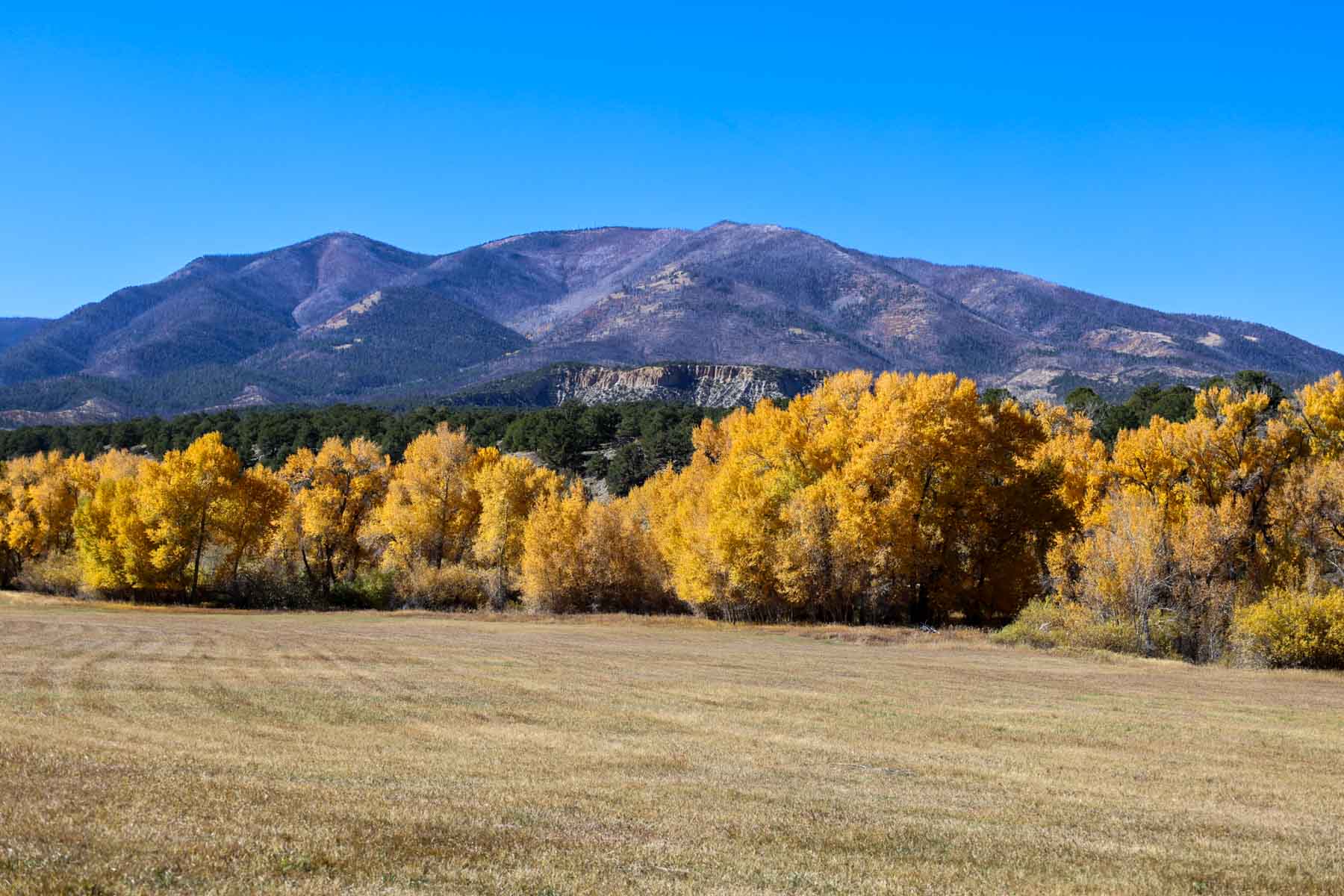 Bear Creek Valley Ranch property picture 20 of 45