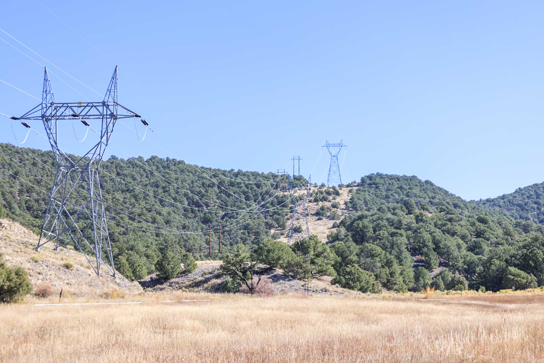 Bear Creek Valley Ranch property picture 37 of 45