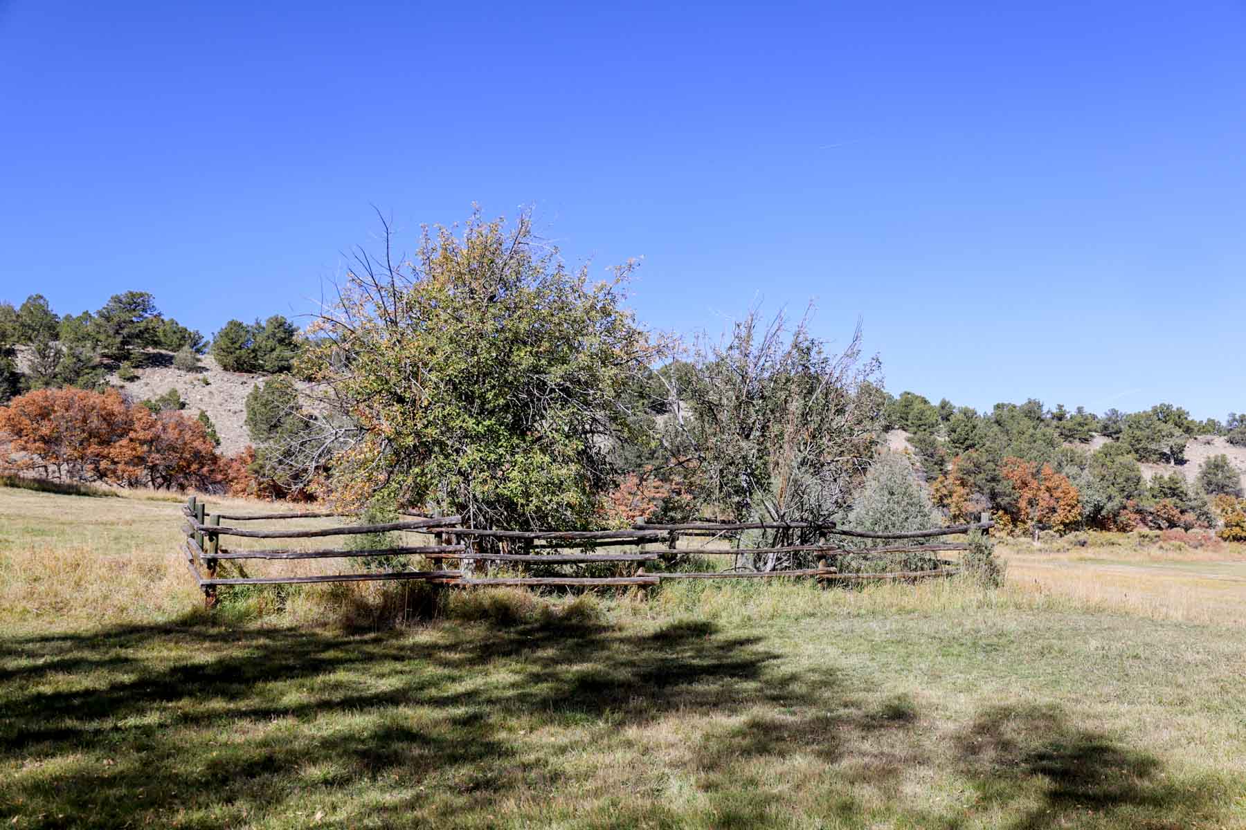 Bear Creek Valley Ranch property picture 34 of 45