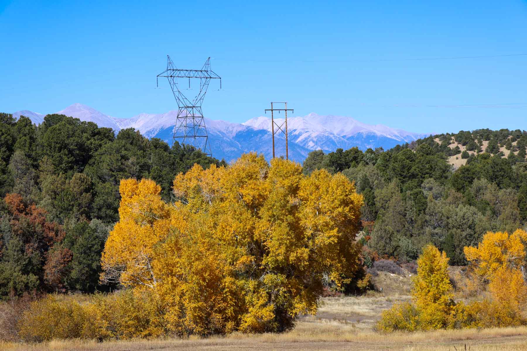 Bear Creek Valley Ranch property picture 45 of 45