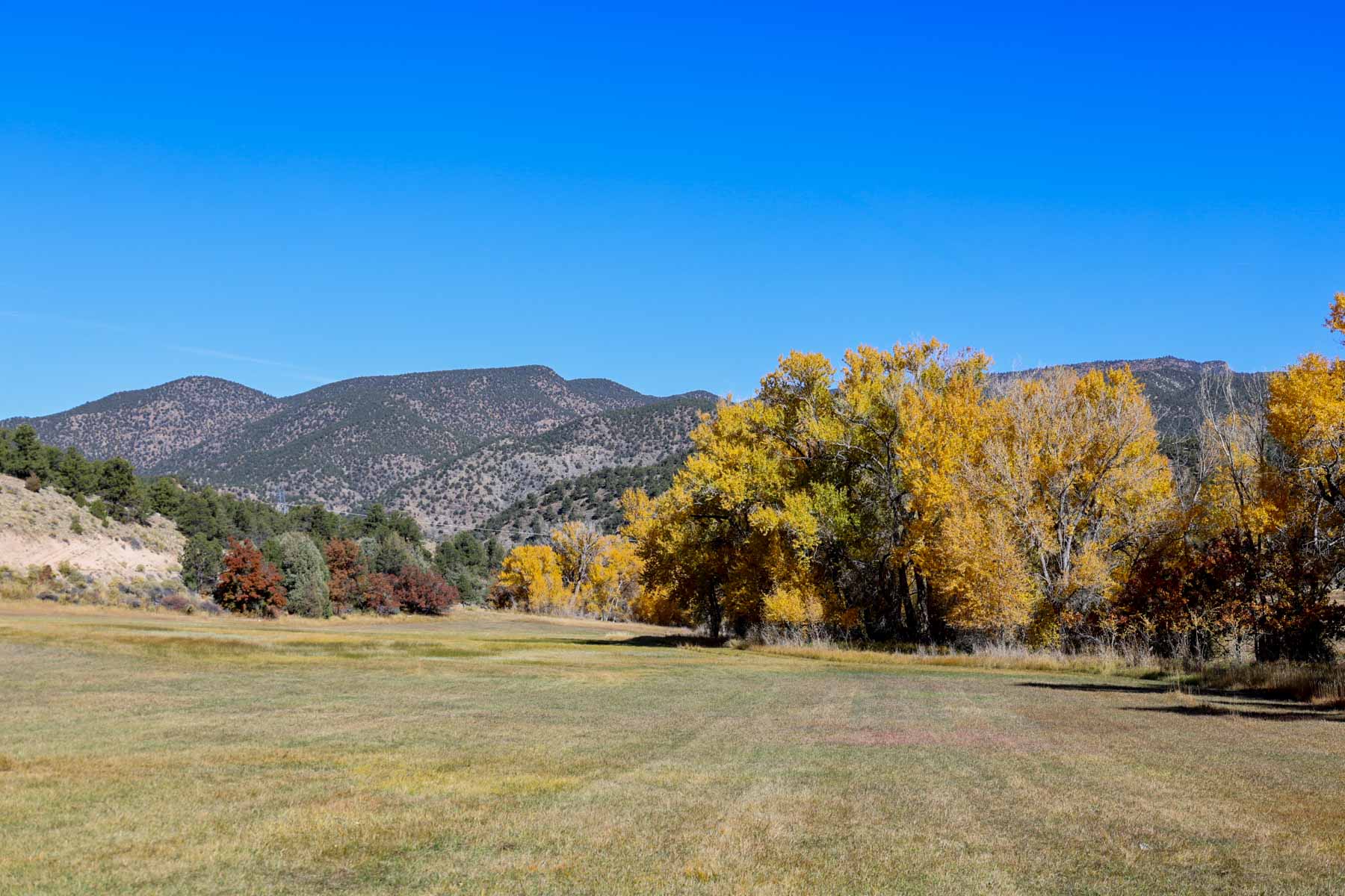 Bear Creek Valley Ranch property picture 30 of 45