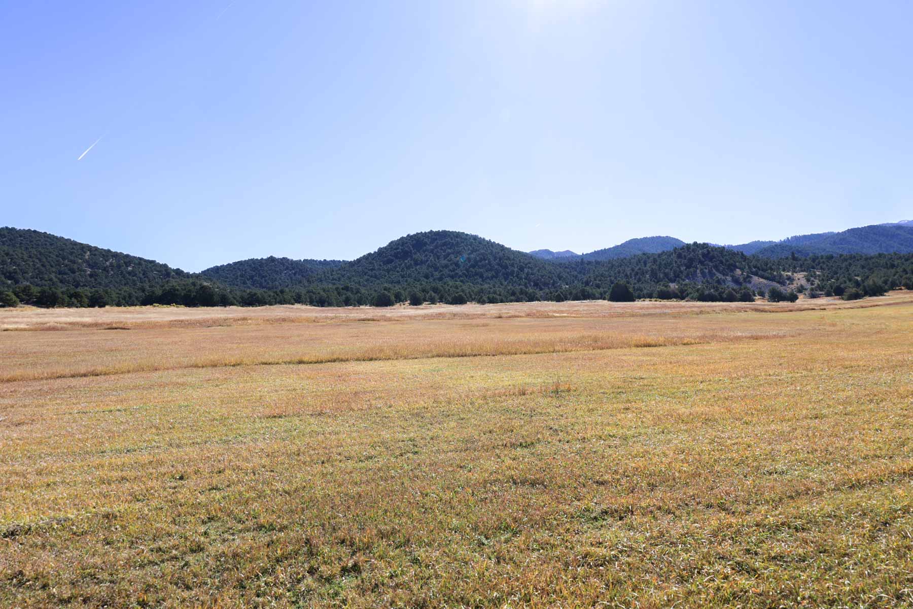 Bear Creek Valley Ranch property picture 31 of 45