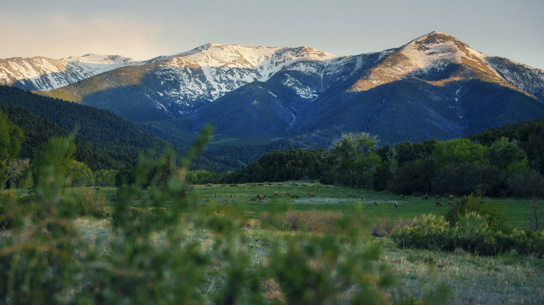 Bear Creek Valley Ranch property picture 3 of 45
