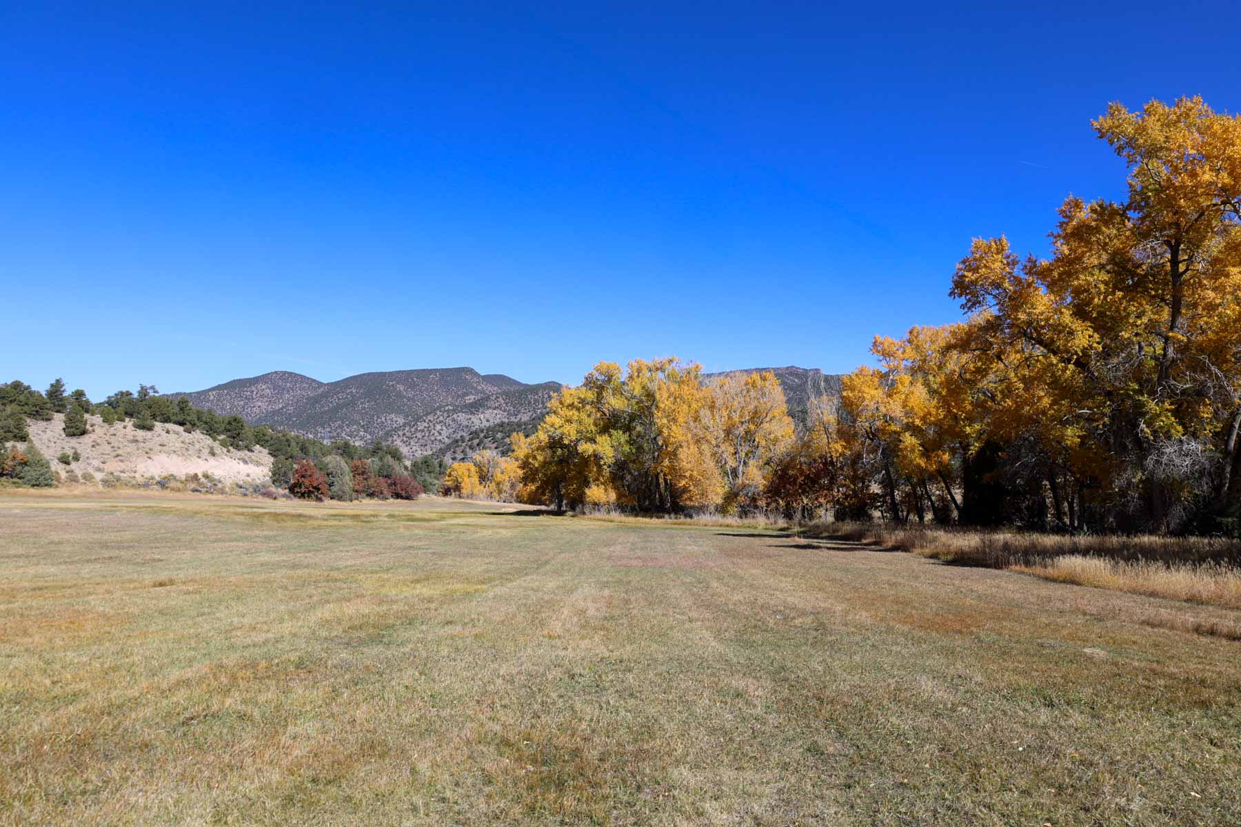 Bear Creek Valley Ranch property picture 26 of 45