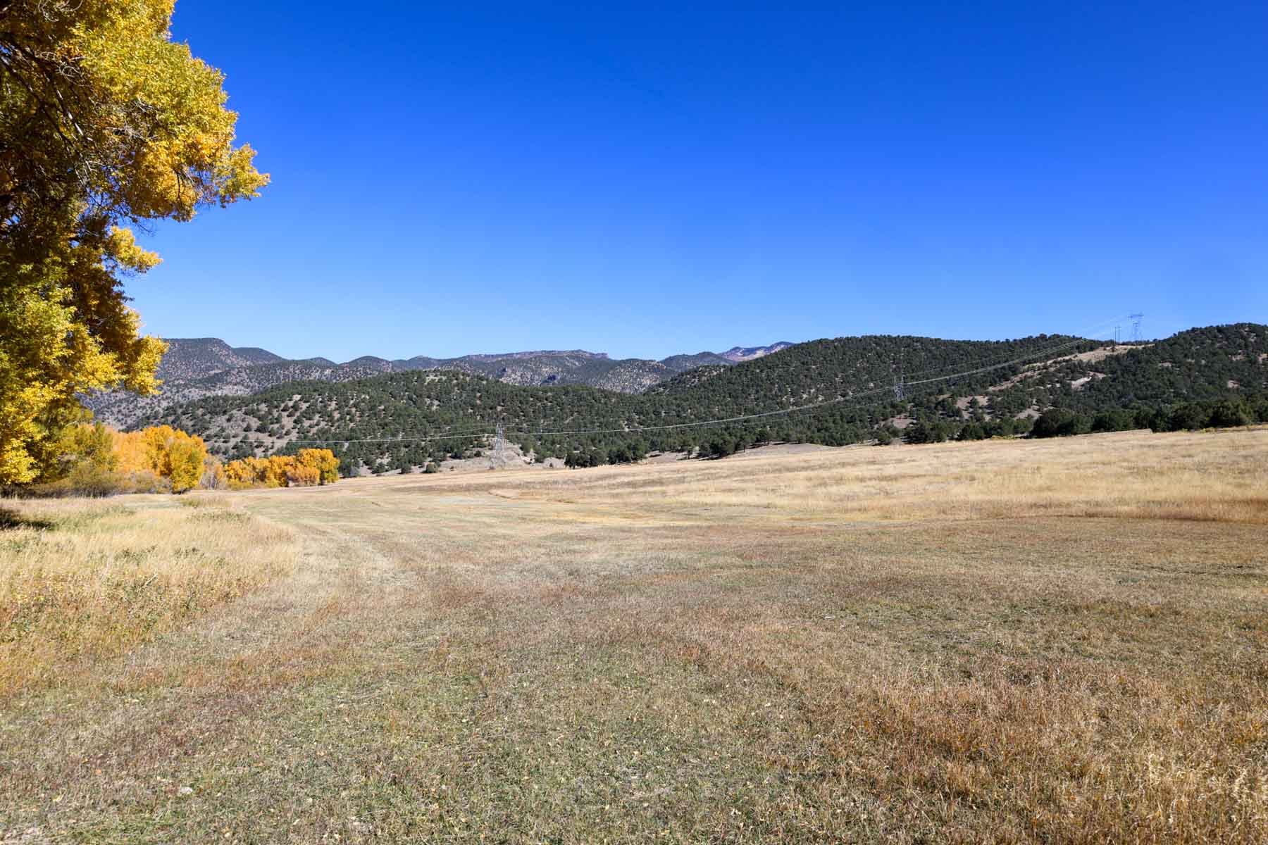 Bear Creek Valley Ranch property picture 41 of 45