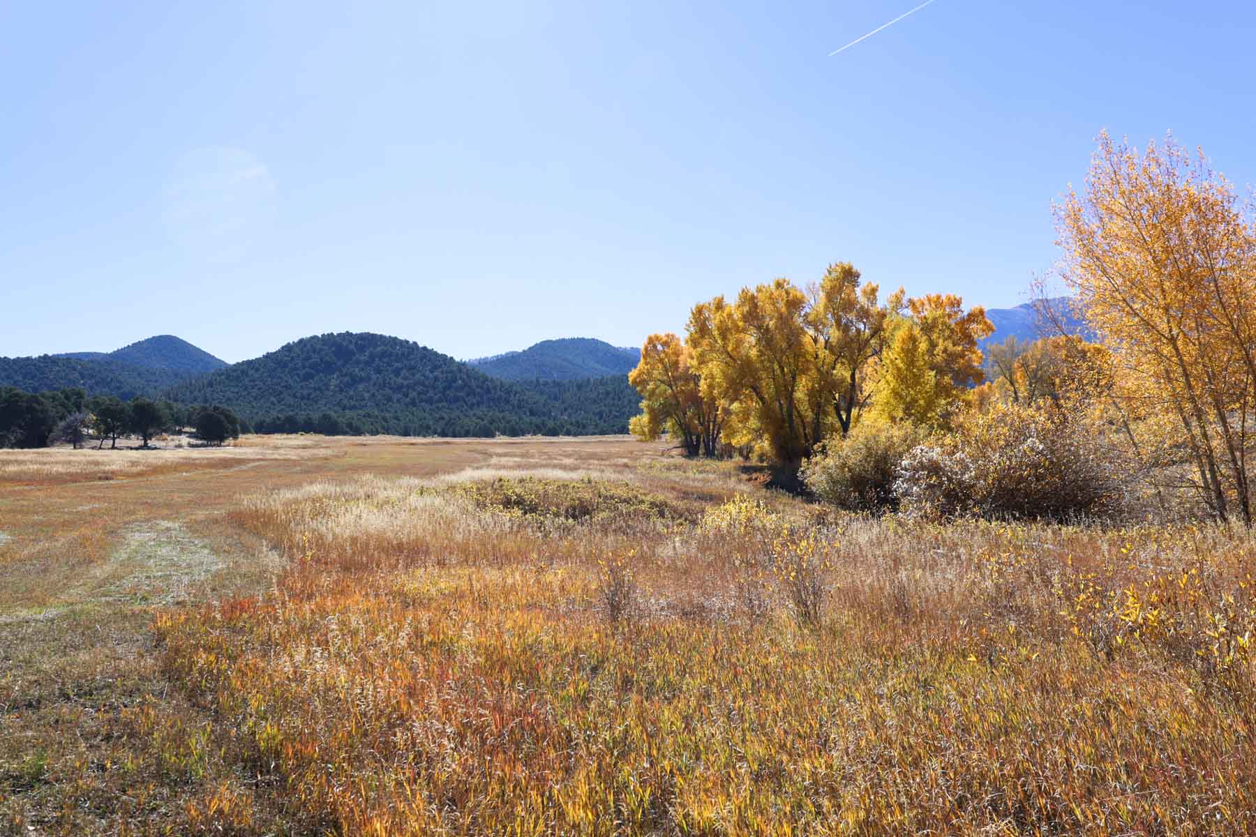 Bear Creek Valley Ranch property picture 36 of 45