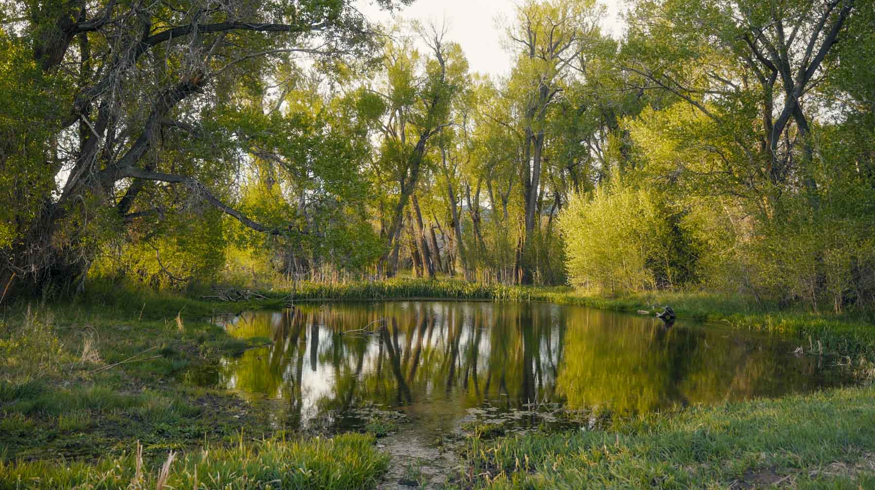 Bear Creek Valley Ranch property picture 5 of 45