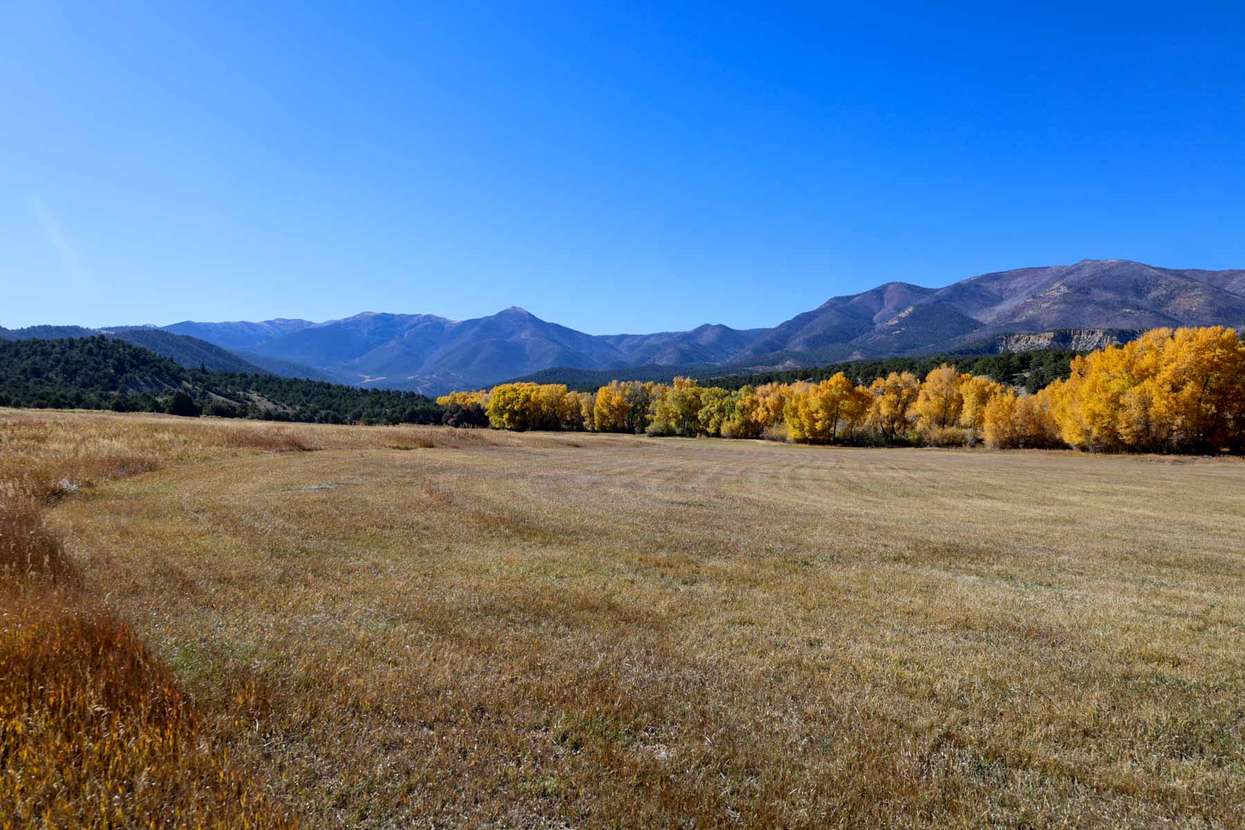 Bear Creek Valley Ranch property picture 21 of 45