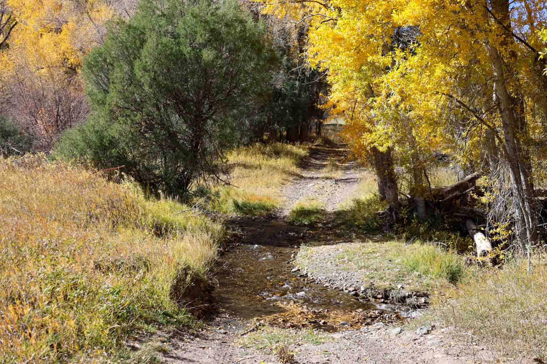 Bear Creek Valley Ranch property picture 24 of 45