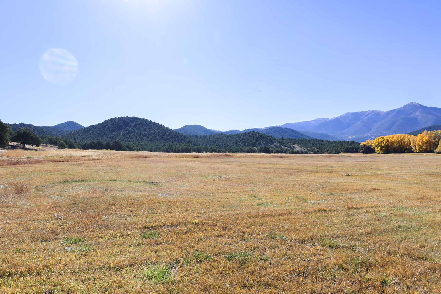 Bear Creek Valley Ranch property picture 35 of 45