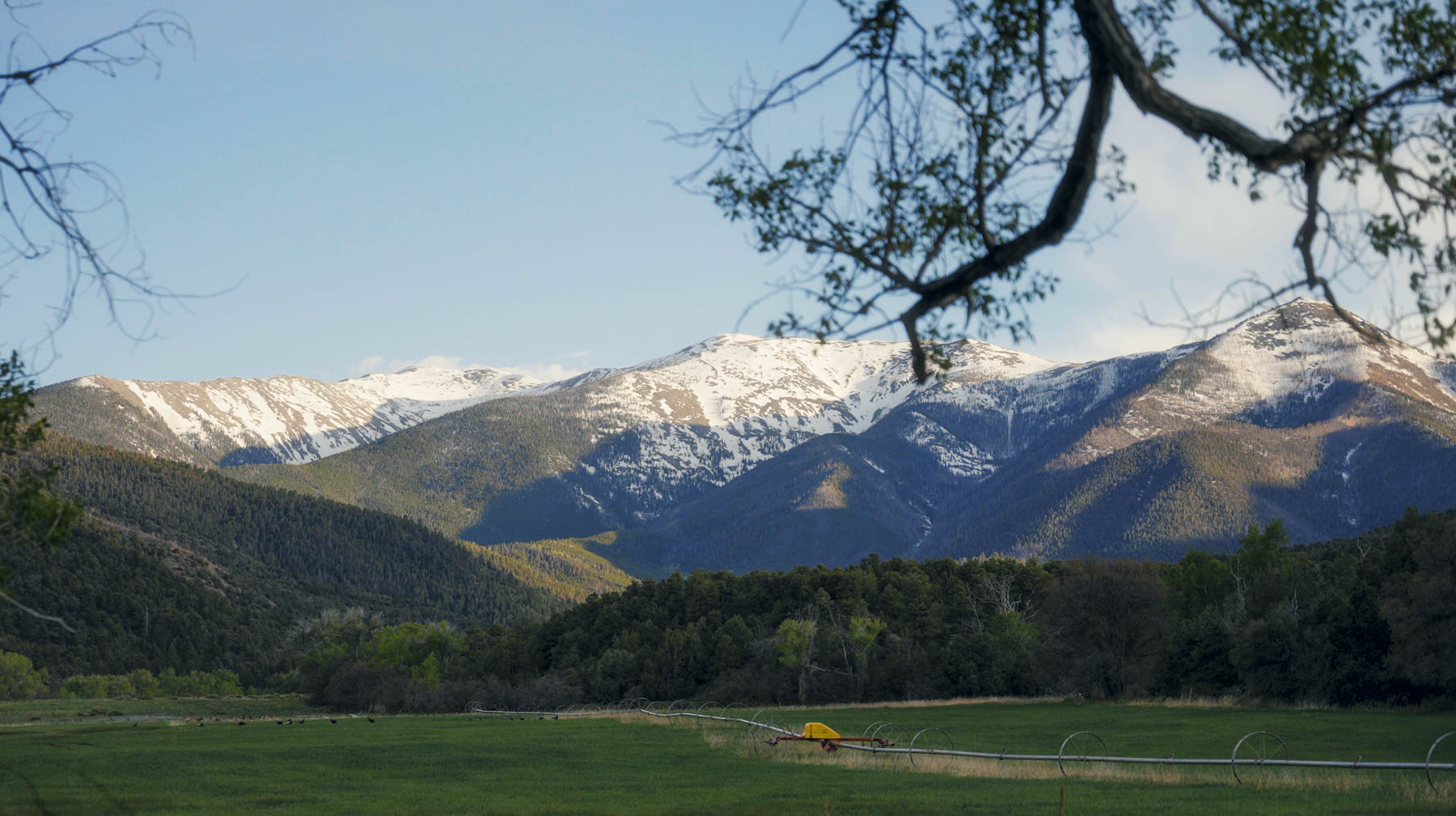 Bear Creek Valley Ranch property picture 4 of 45