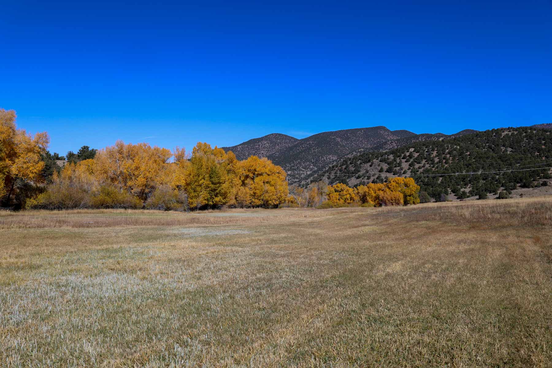 Bear Creek Valley Ranch property picture 42 of 45