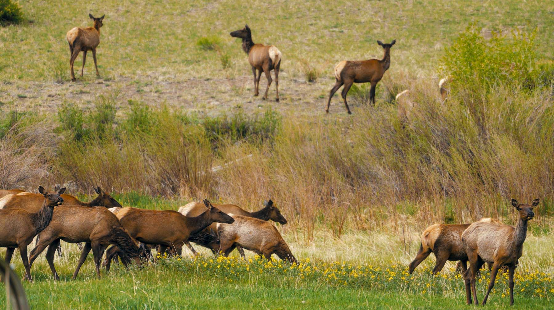 Bear Creek Valley Ranch property picture 9 of 45