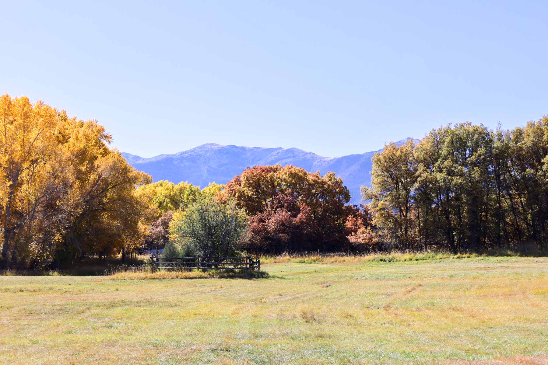 Bear Creek Valley Ranch property picture 28 of 45