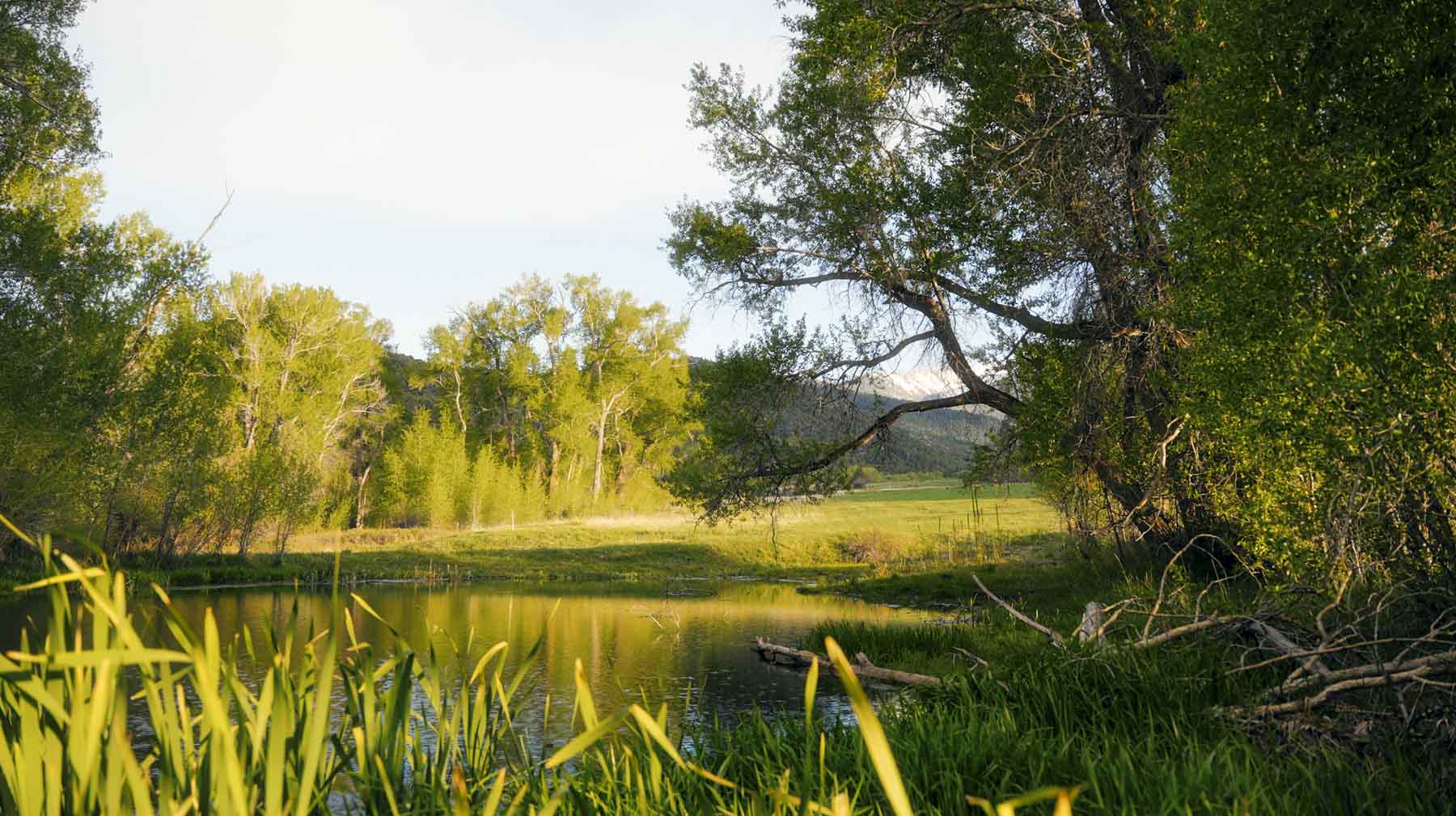 Bear Creek Valley Ranch property picture 11 of 45