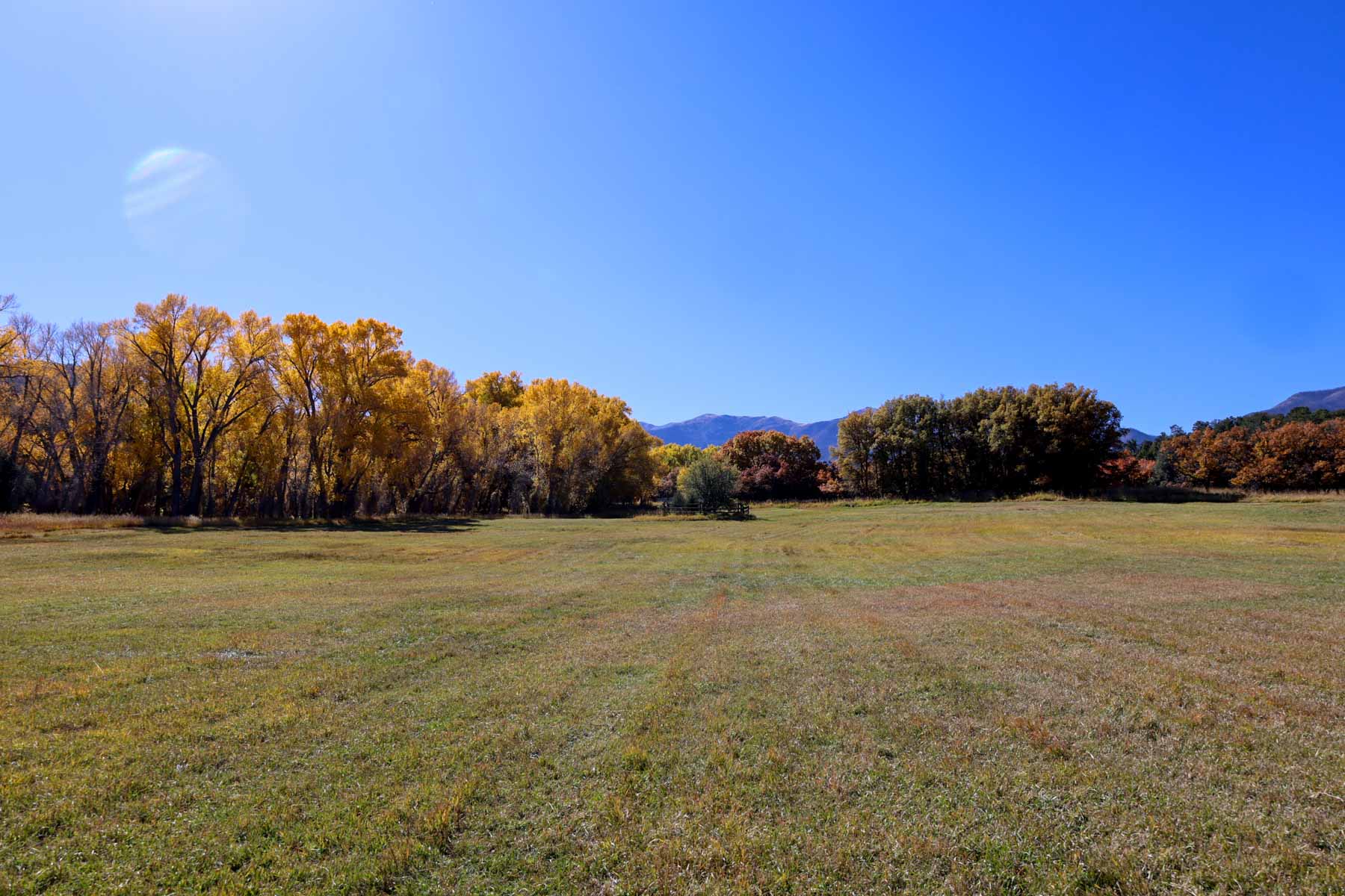 Bear Creek Valley Ranch property picture 27 of 45