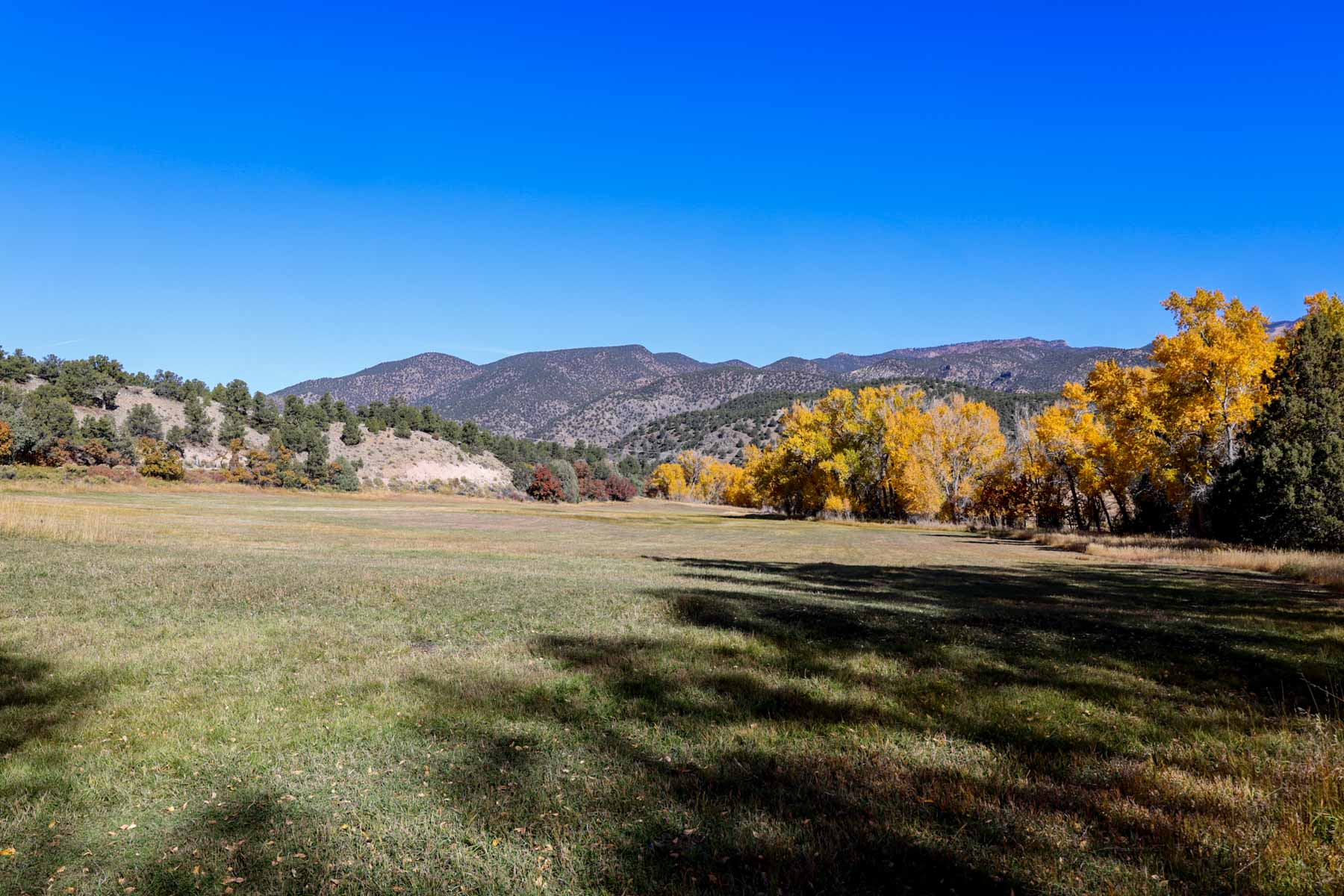 Bear Creek Valley Ranch property picture 19 of 45