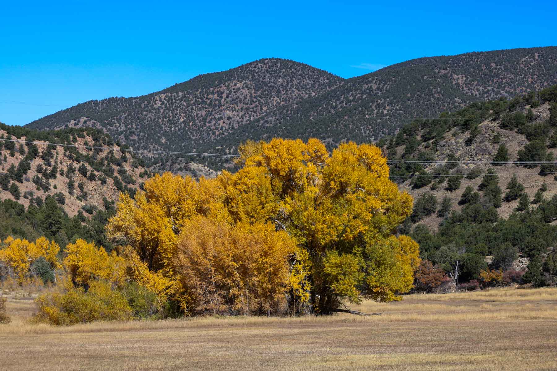 Bear Creek Valley Ranch property picture 44 of 45