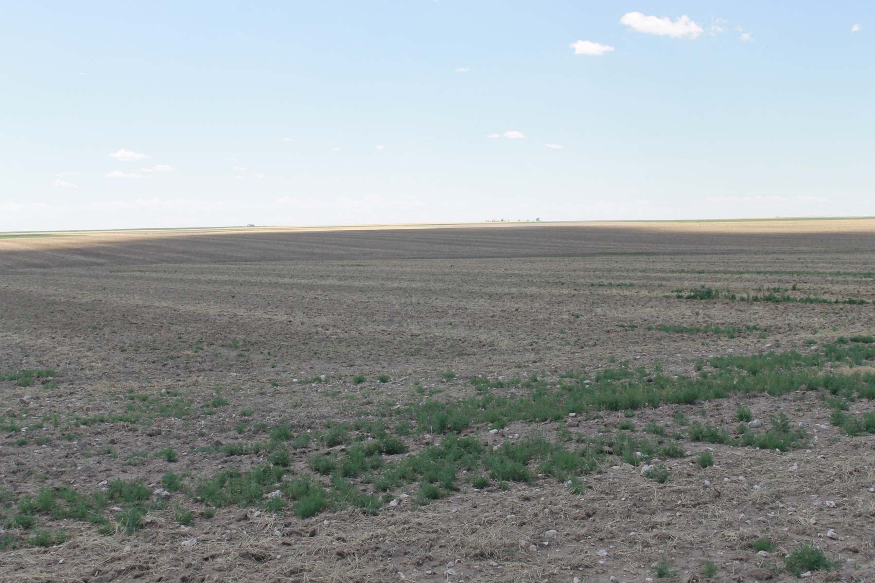 YNOT Farms property picture 5 of 17