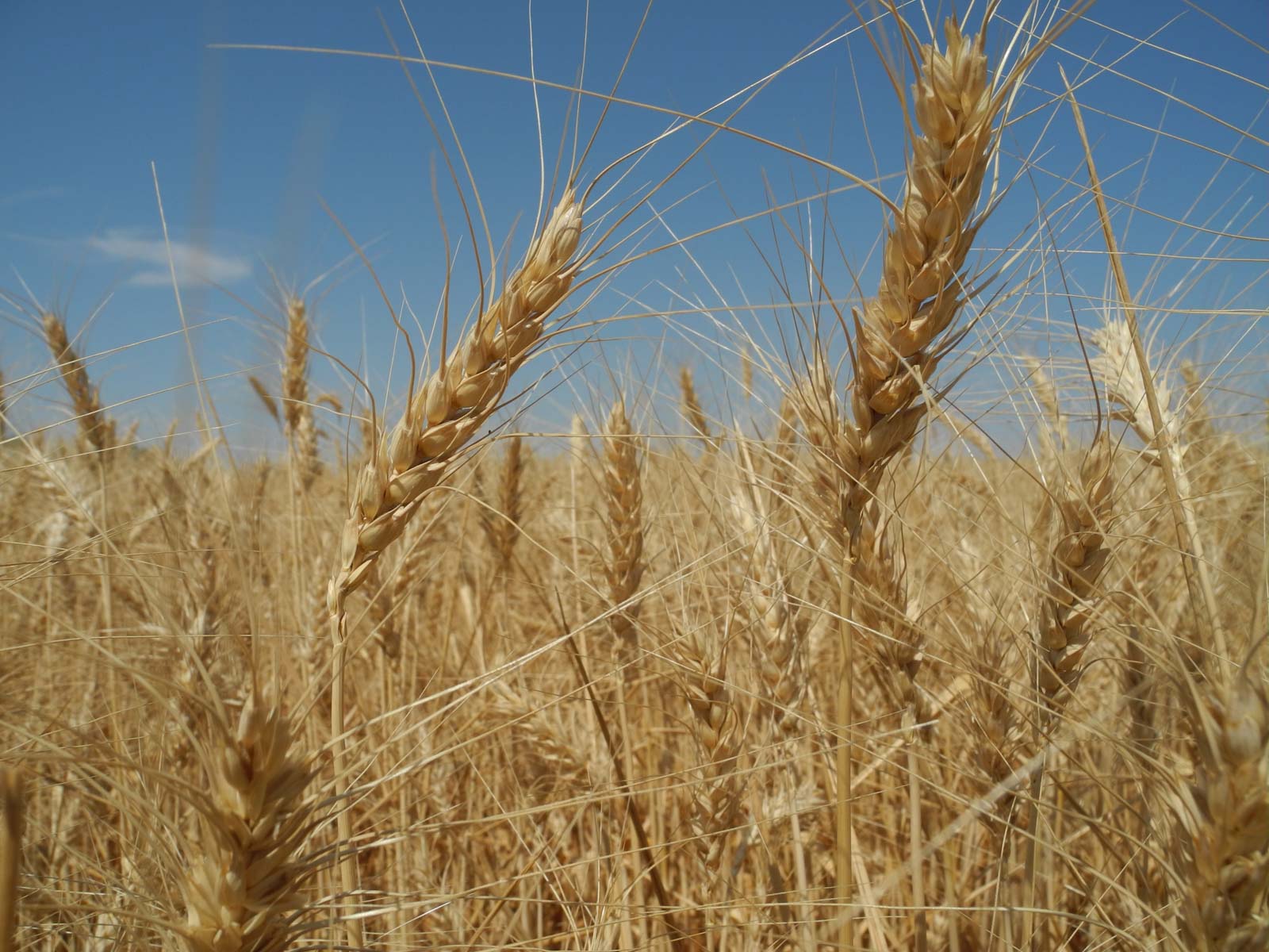 YNOT Farms property picture 14 of 17