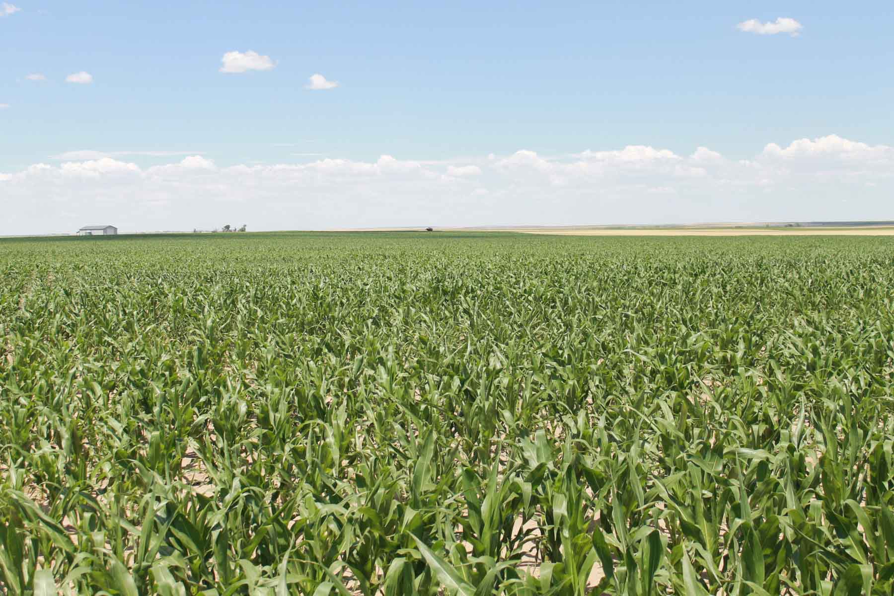 YNOT Farms property picture 7 of 17