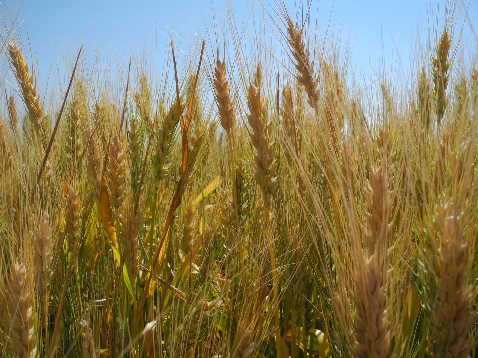 YNOT Farms property picture 17 of 17