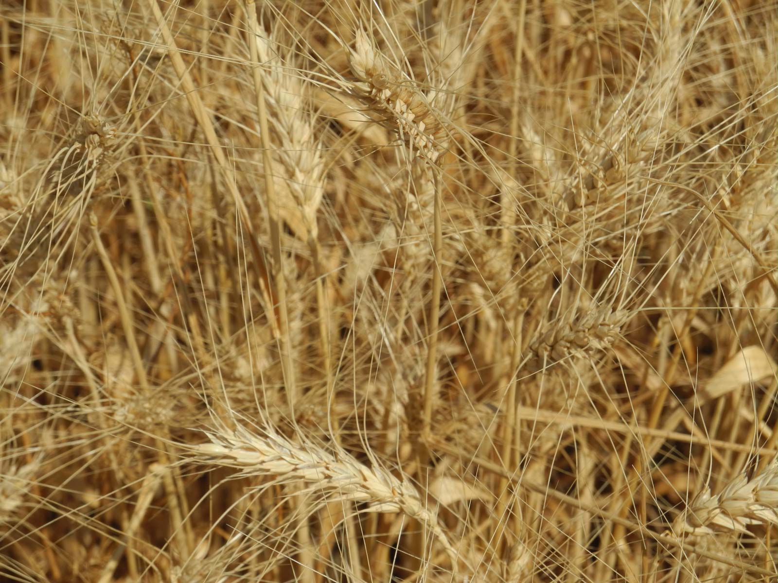 YNOT Farms property picture 16 of 17