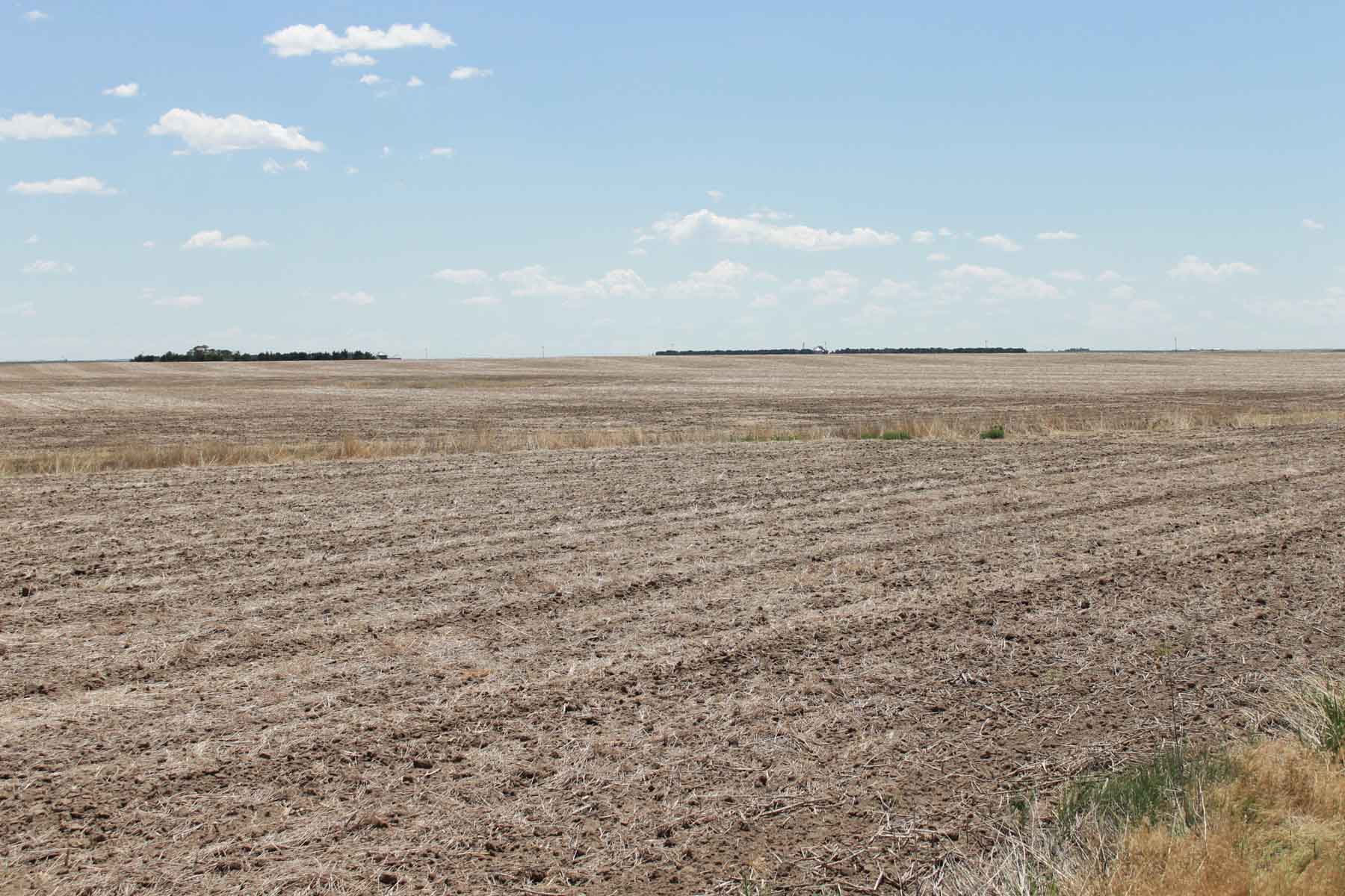 YNOT Farms property picture 8 of 17