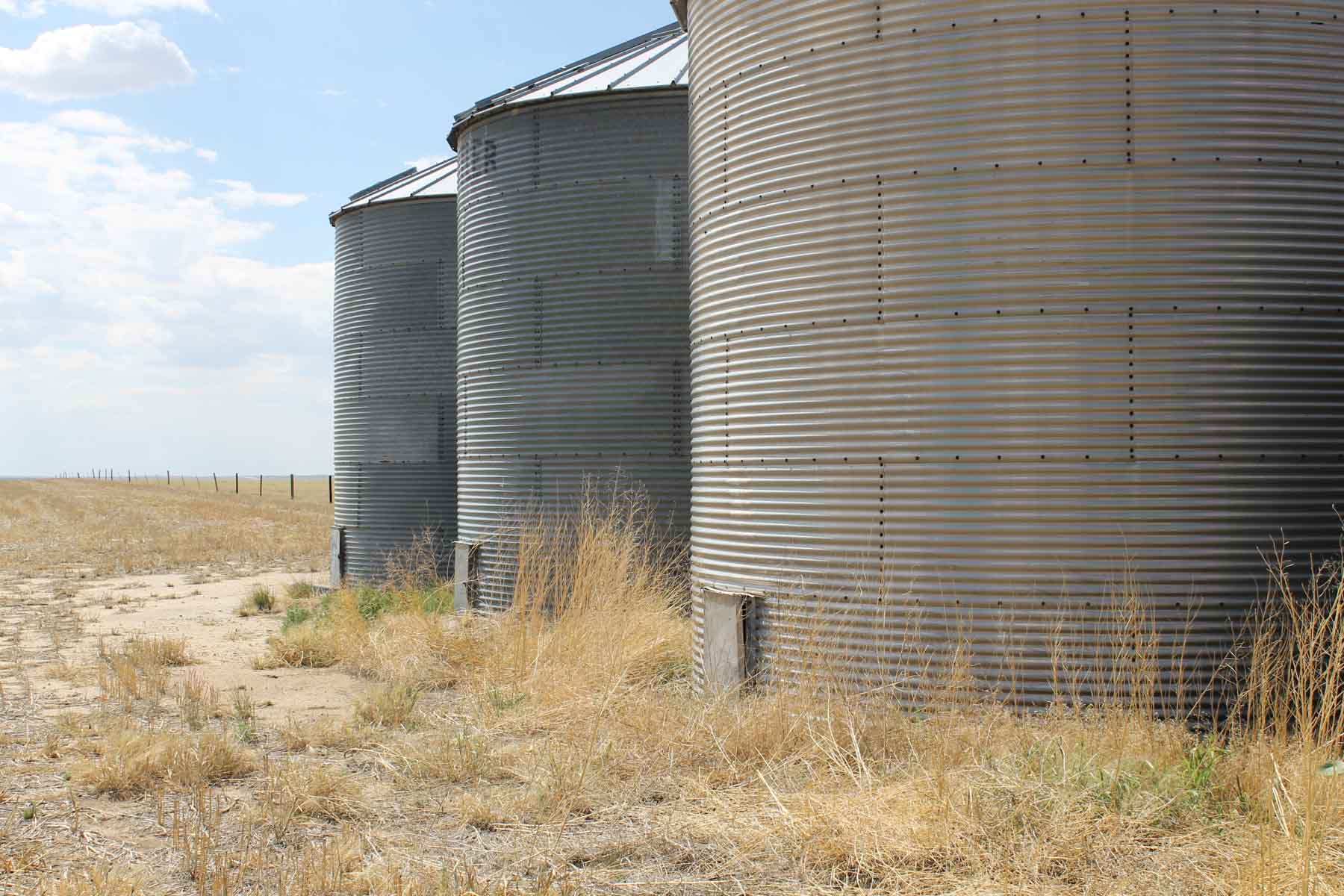 YNOT Farms property picture 12 of 17