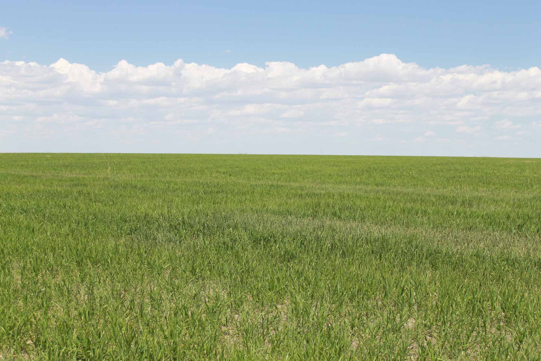 YNOT Farms property picture 11 of 17