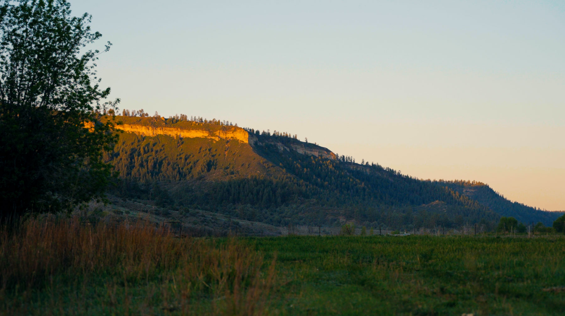 Diamond M Bar Ranch property picture 15 of 73