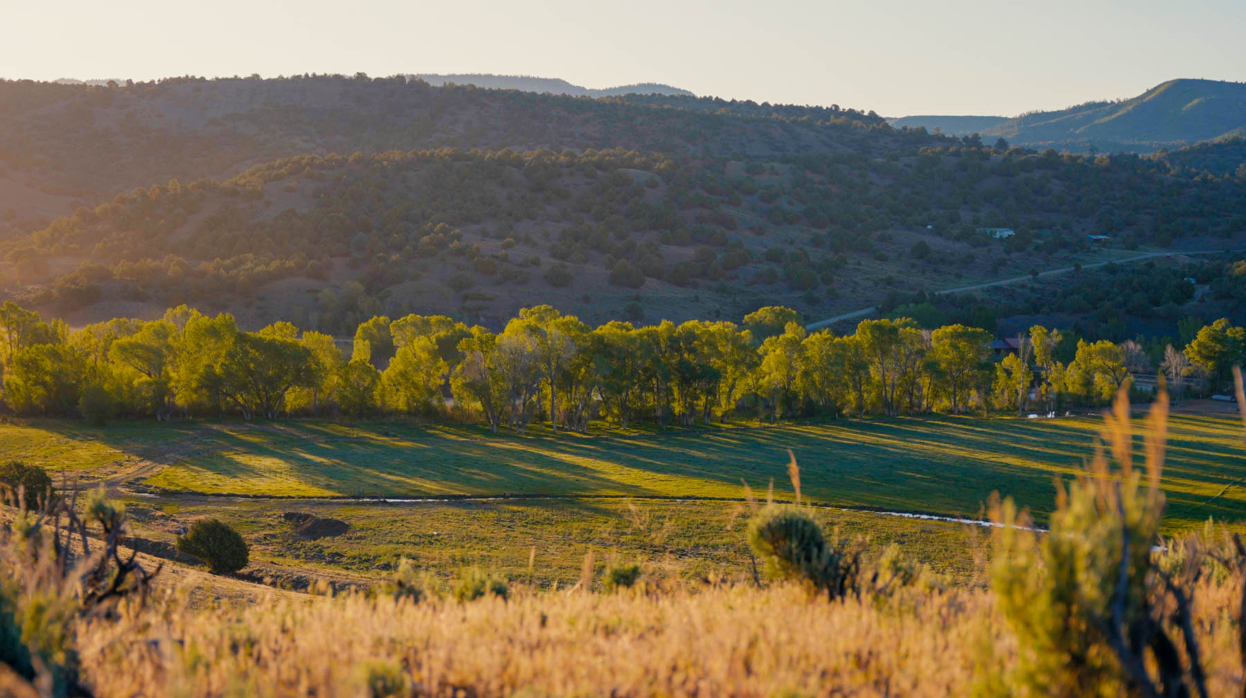 Diamond M Bar Ranch property picture 16 of 73