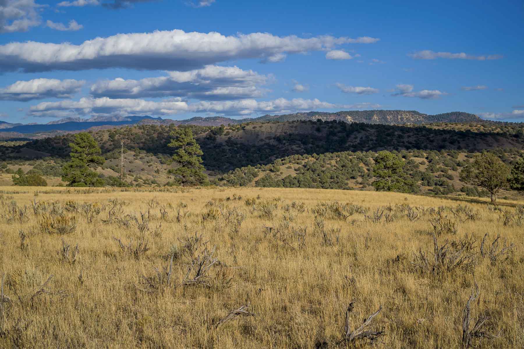 Diamond M Bar Ranch property picture 39 of 73