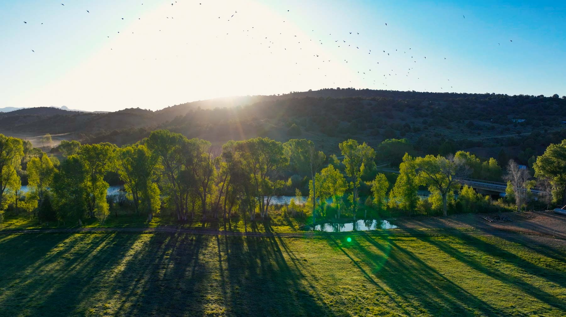 Diamond M Bar Ranch property picture 23 of 73