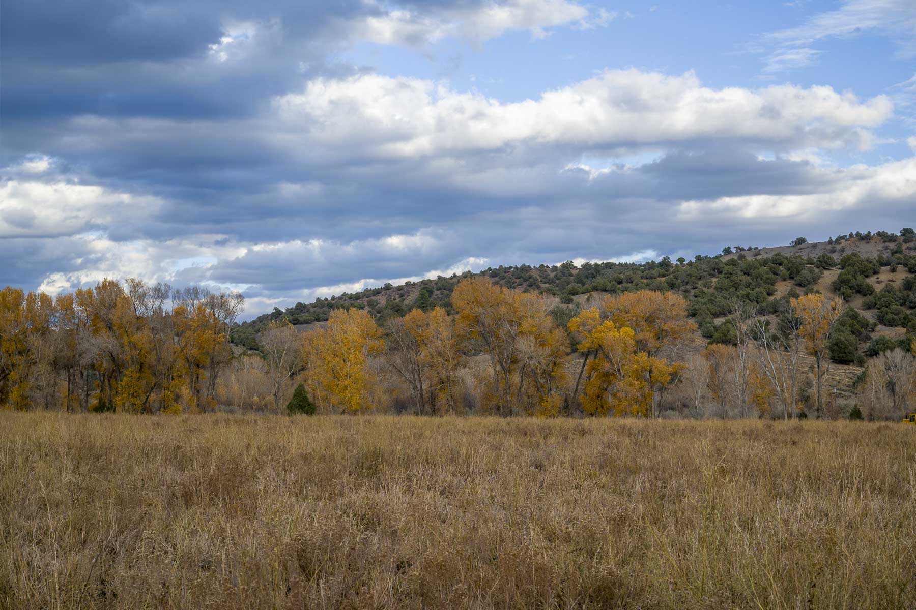 Diamond M Bar Ranch property picture 61 of 73