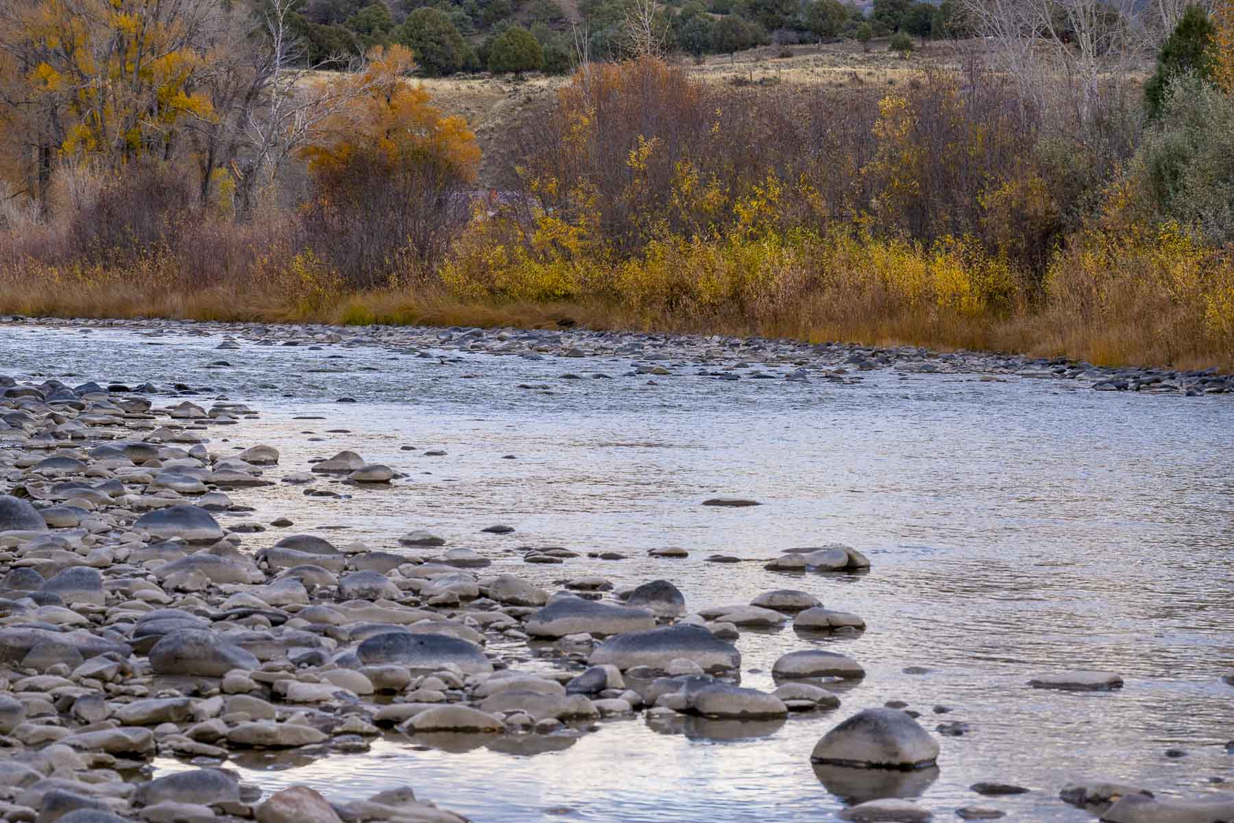 Diamond M Bar Ranch property picture 73 of 73