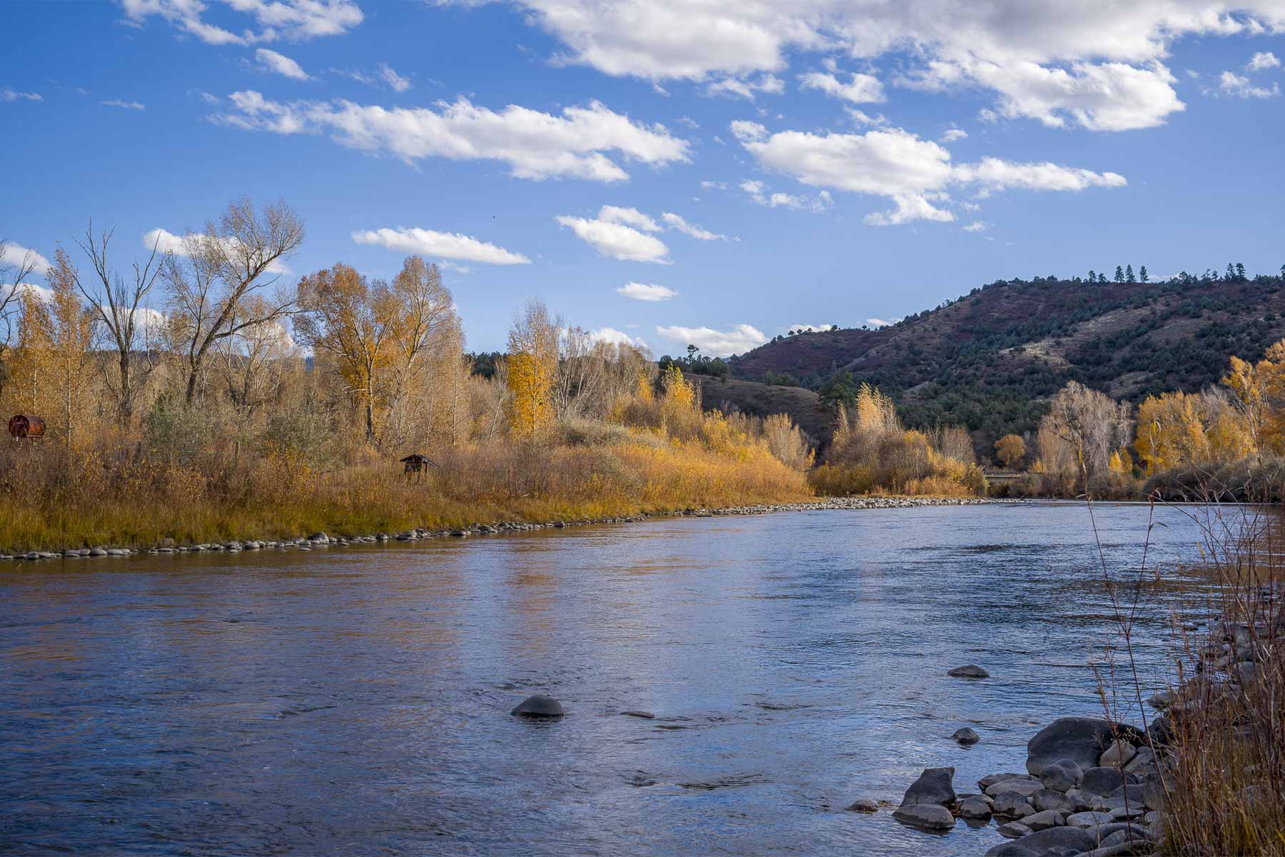Diamond M Bar Ranch property picture 28 of 73