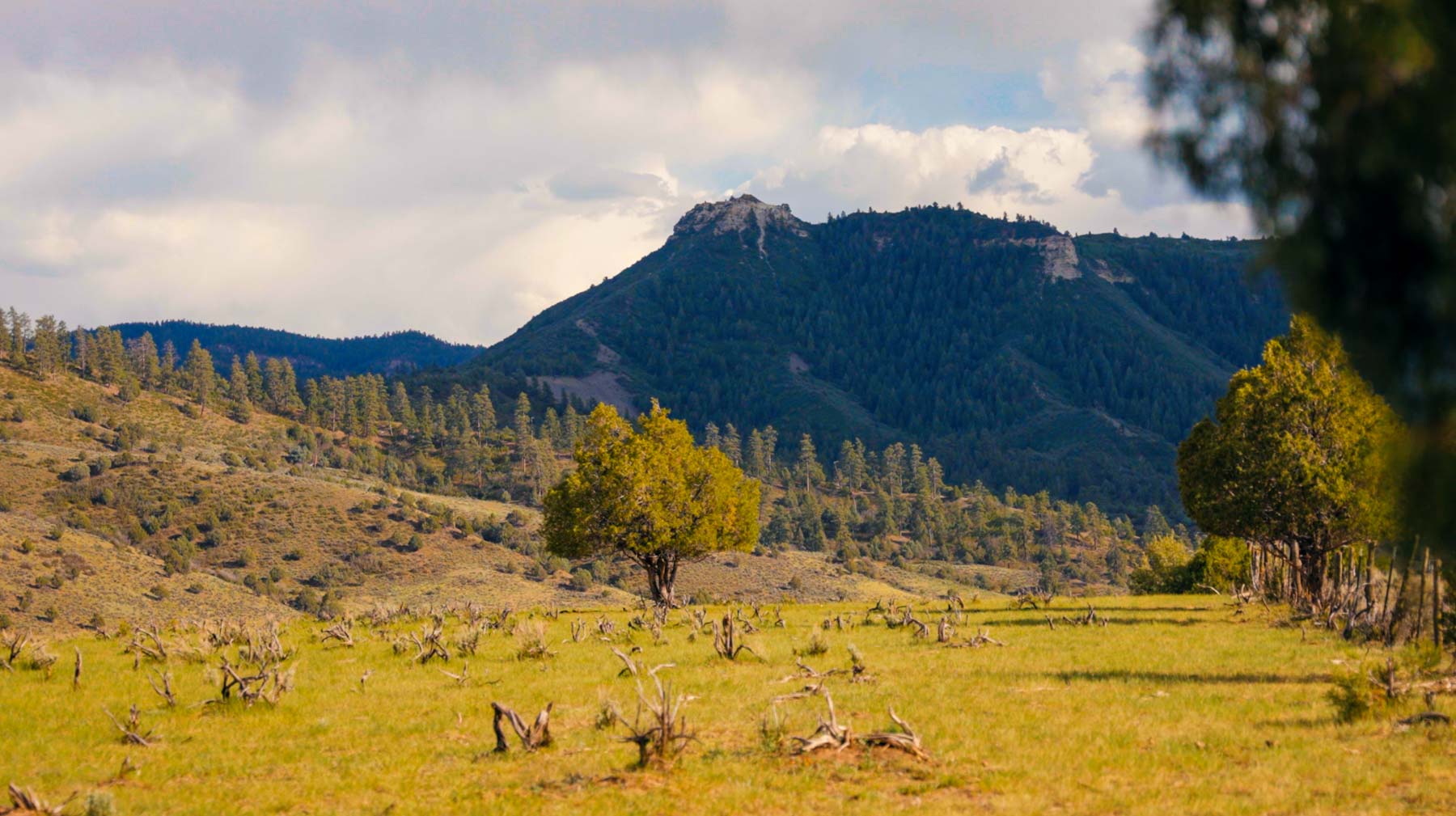 Diamond M Bar Ranch property picture 12 of 73