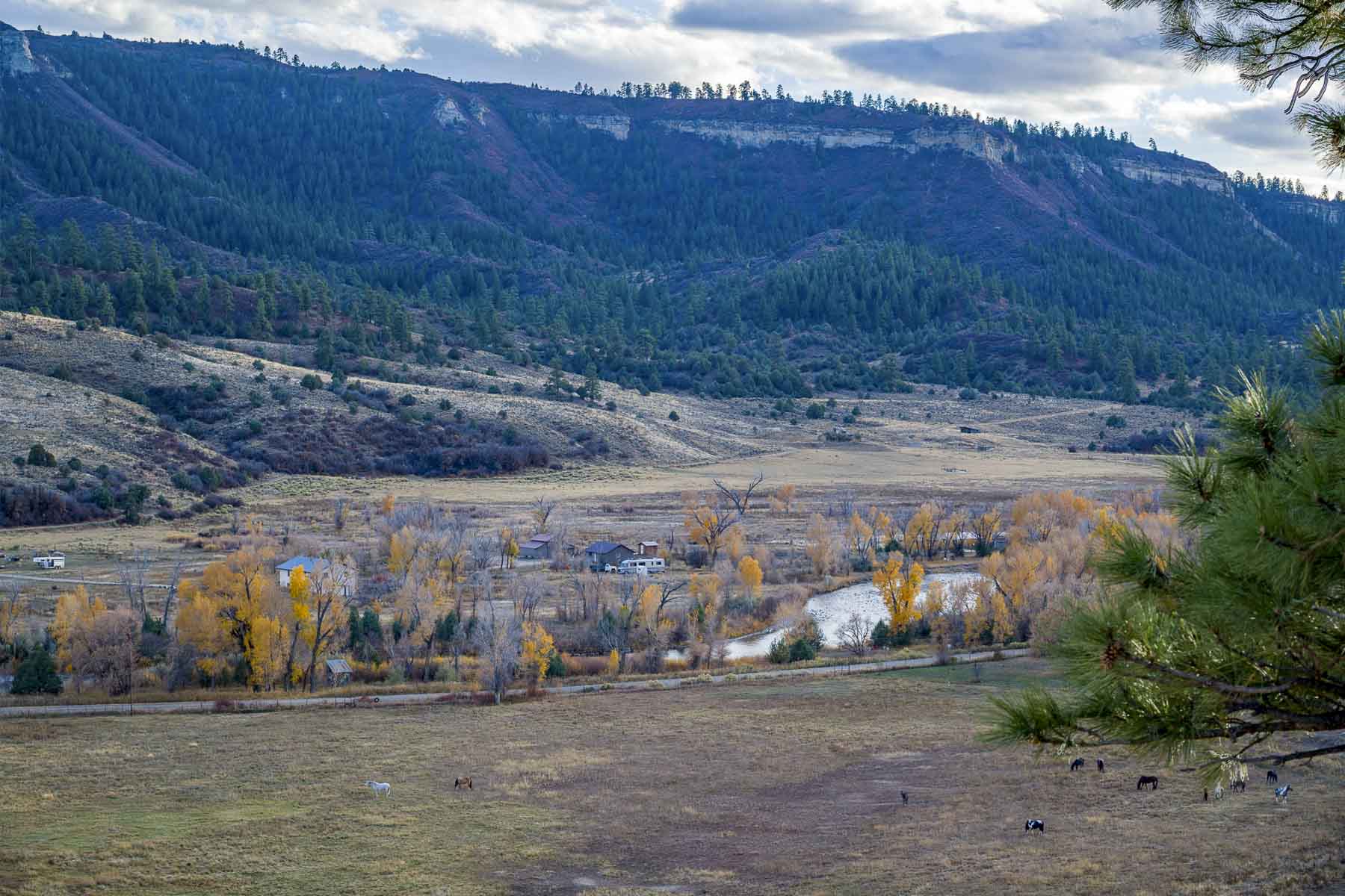 Diamond M Bar Ranch property picture 54 of 73