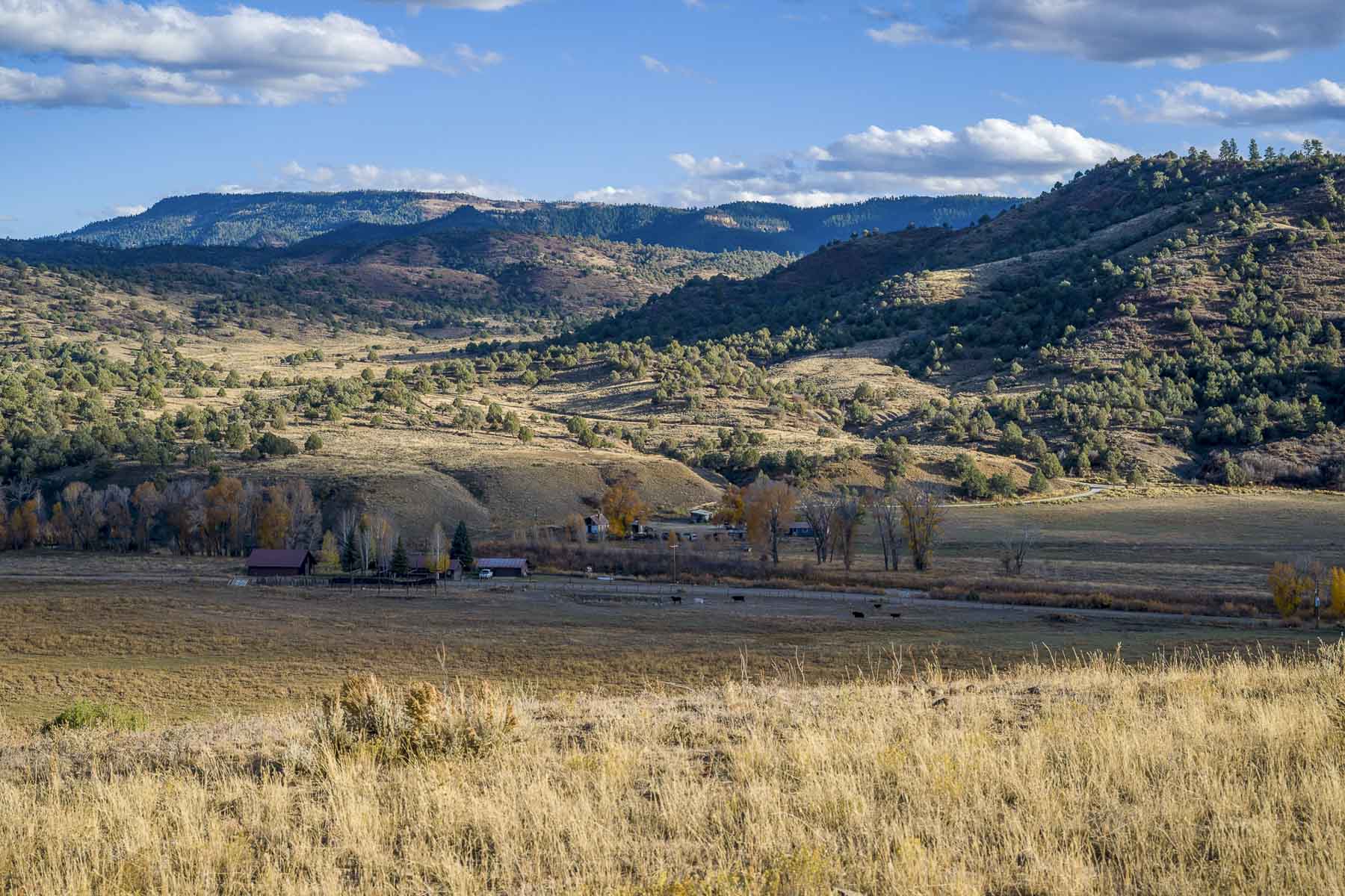 Diamond M Bar Ranch property picture 52 of 73