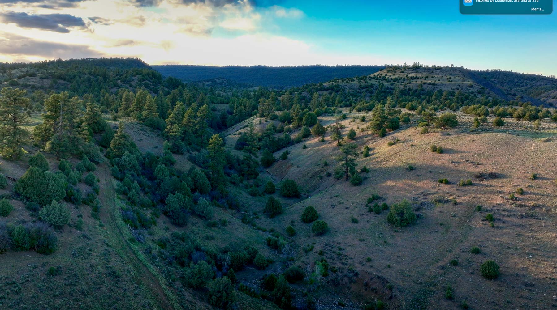 Diamond M Bar Ranch property picture 21 of 73