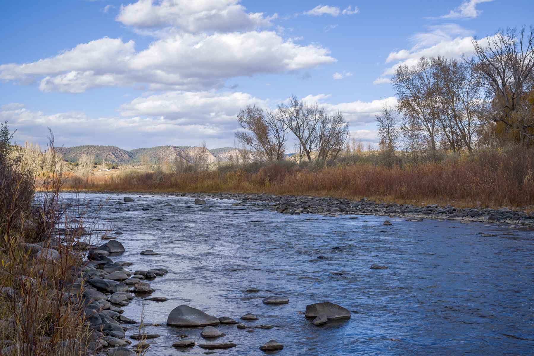 Diamond M Bar Ranch property picture 26 of 73
