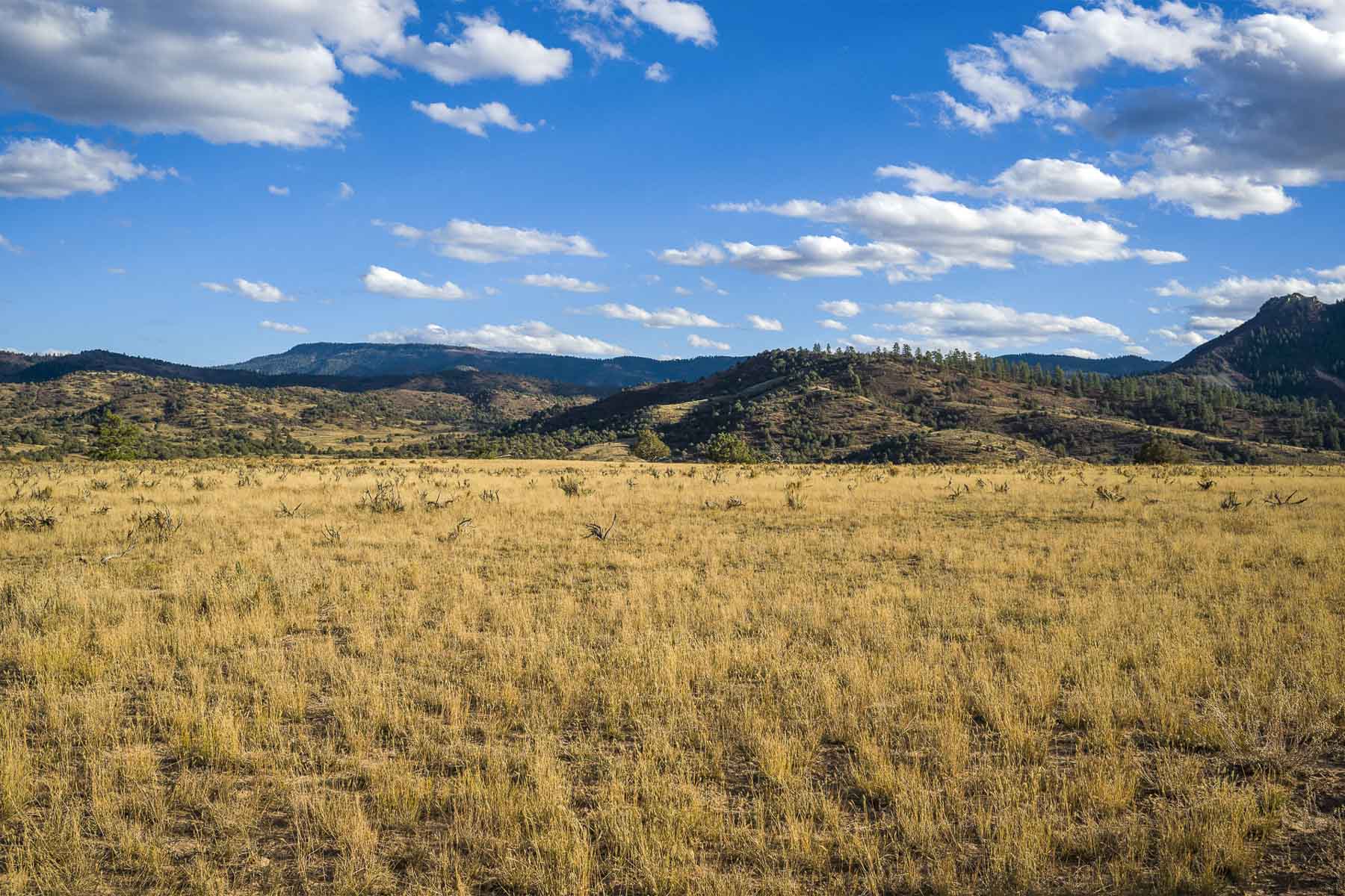 Diamond M Bar Ranch property picture 36 of 73