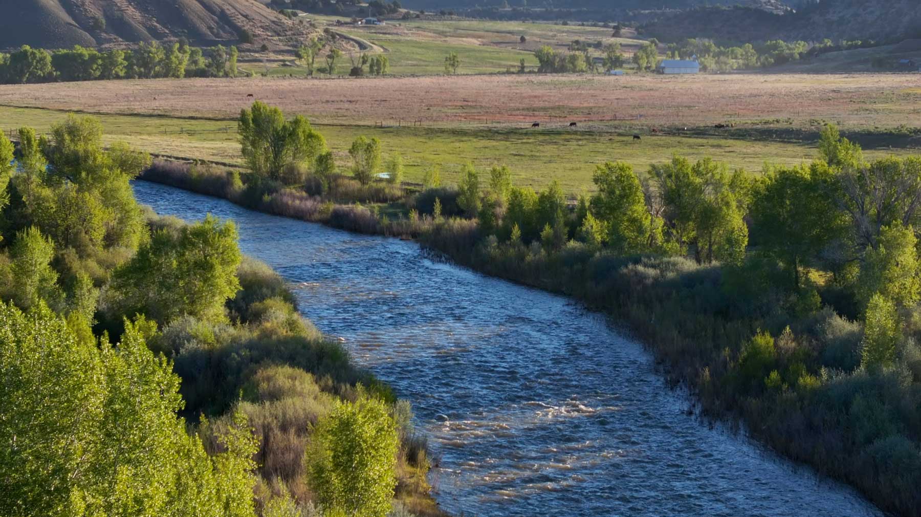 Diamond M Bar Ranch property picture 9 of 73