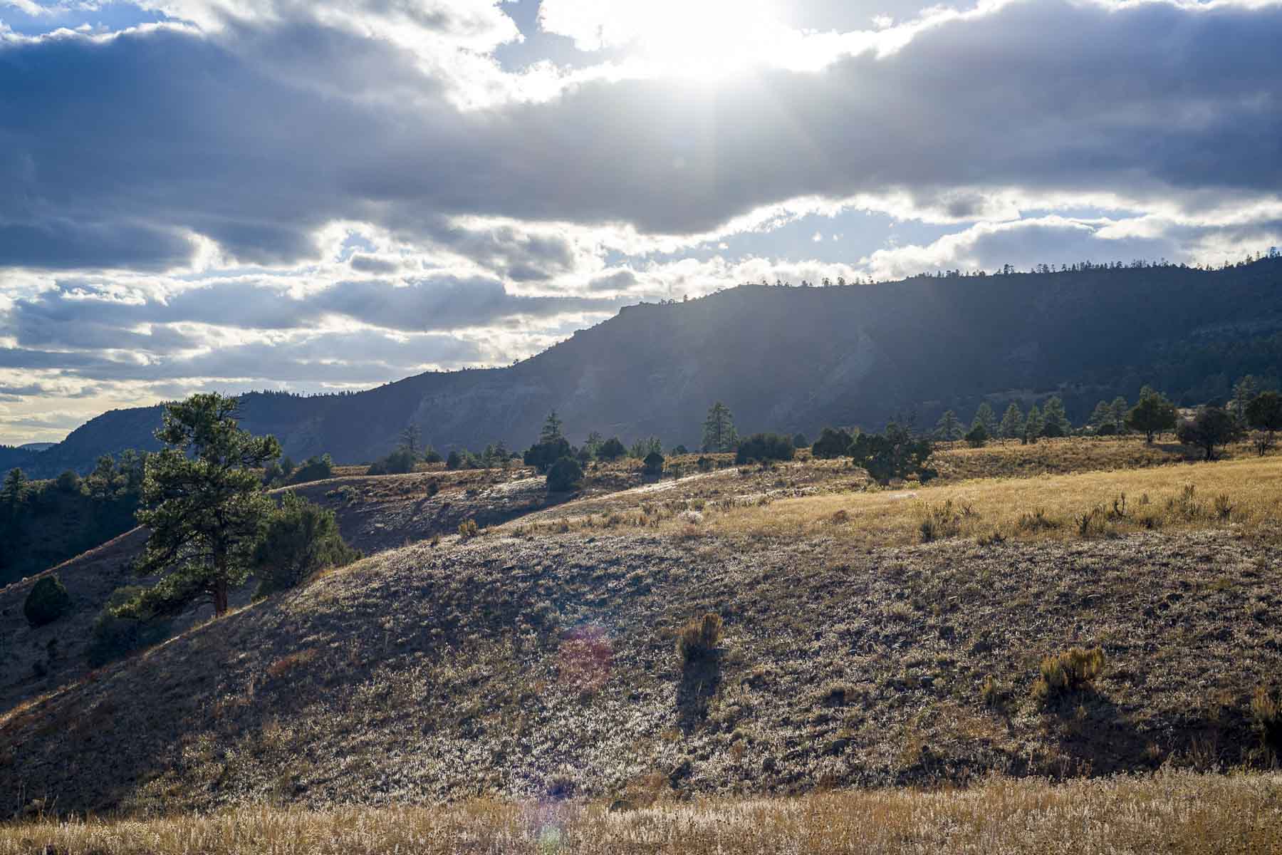 Diamond M Bar Ranch property picture 53 of 73