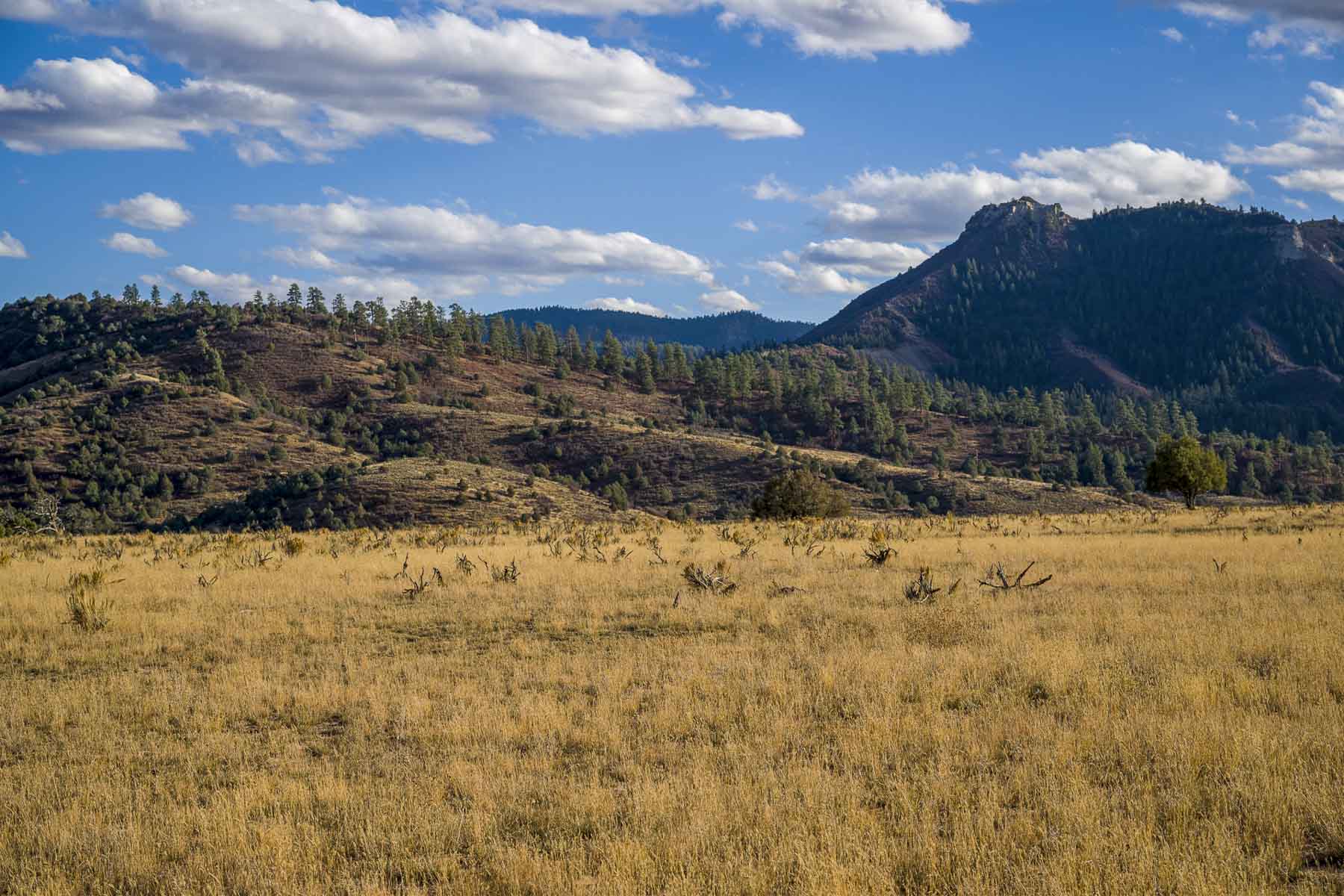 Diamond M Bar Ranch property picture 37 of 73