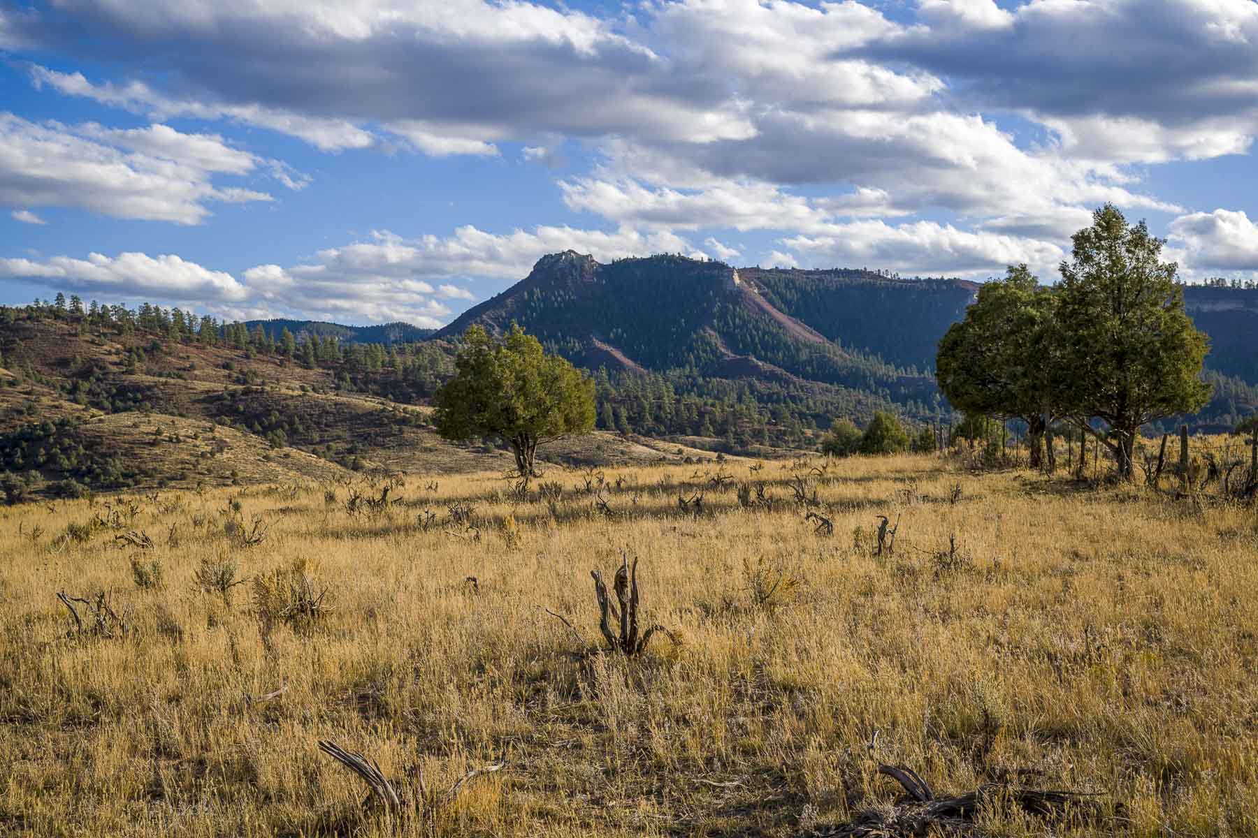 Diamond M Bar Ranch property picture 41 of 73