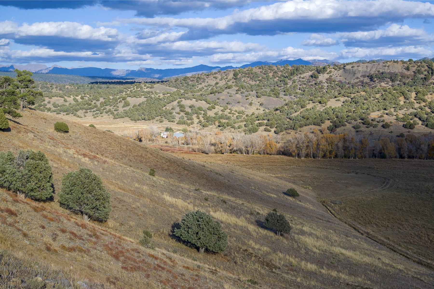 Diamond M Bar Ranch property picture 50 of 73